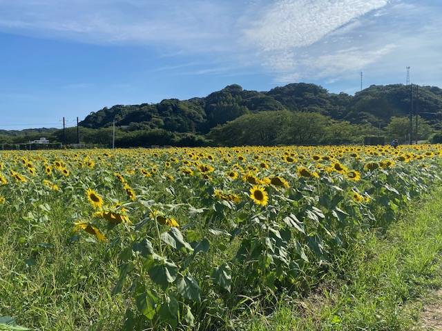 夏休み満喫してきました！01