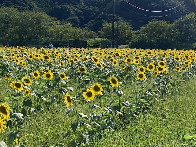 夏休み満喫してきました！02
