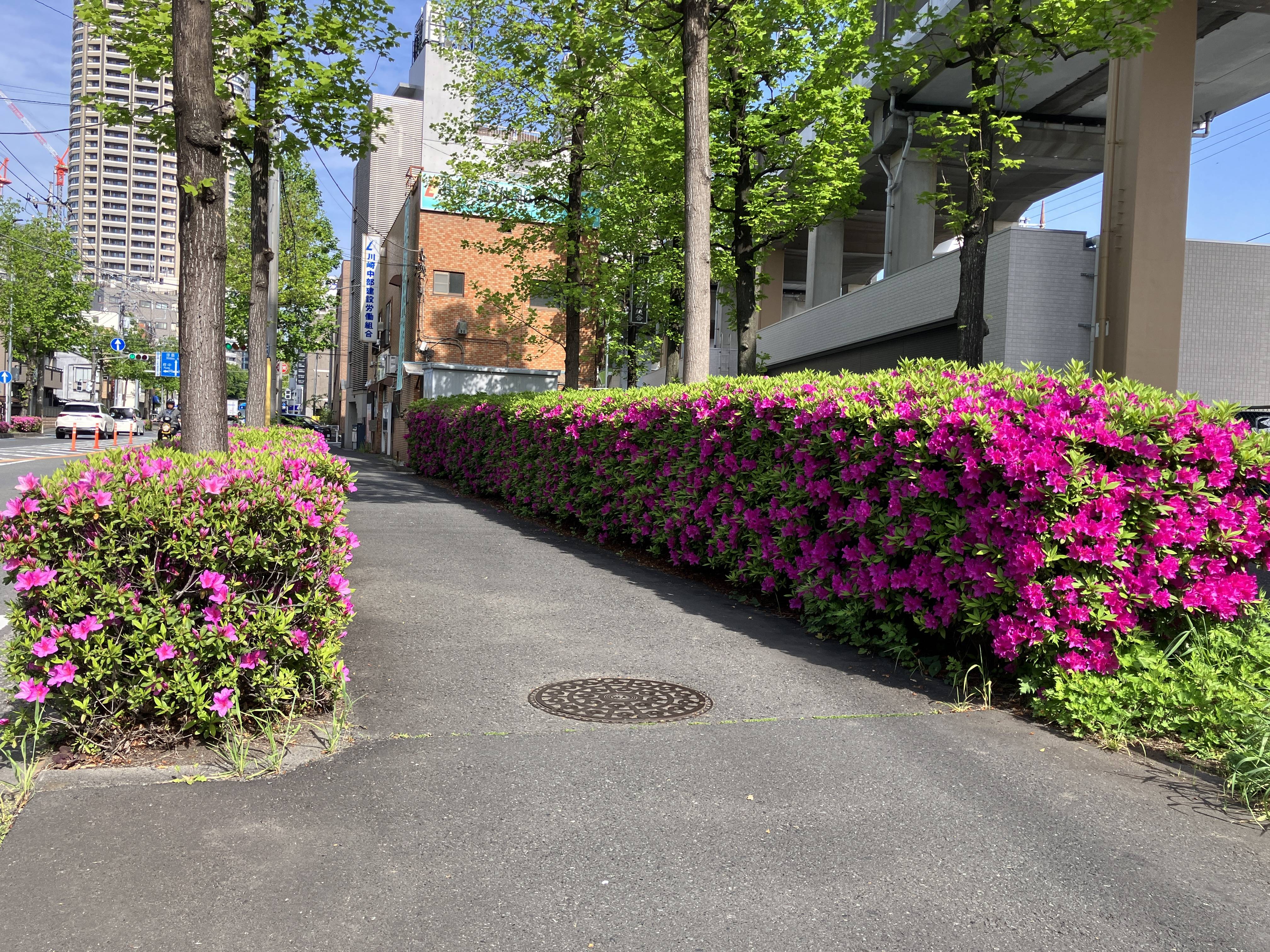 南武沿線道路の癒しスポット！