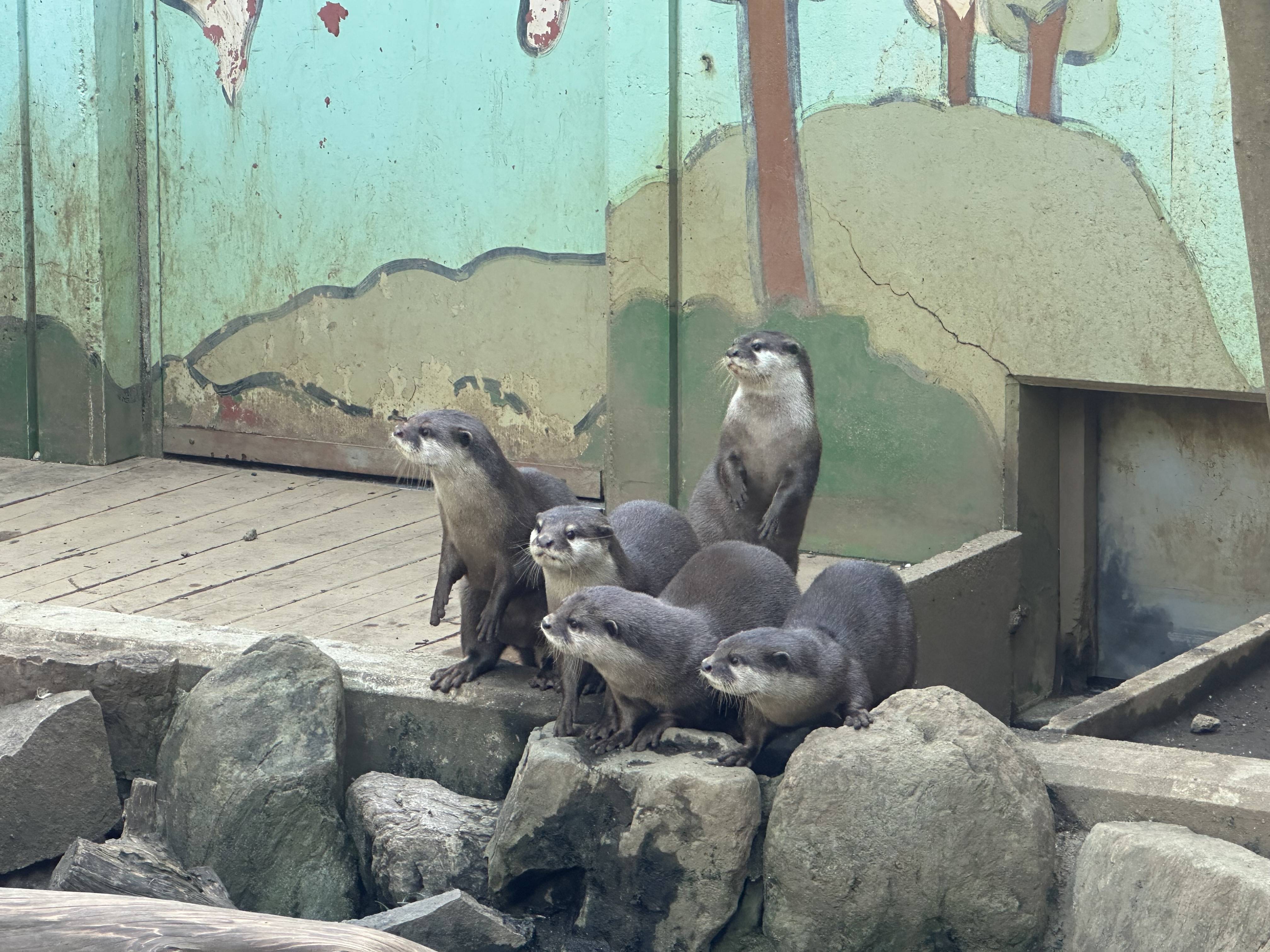 娘と久しぶりの動物園！