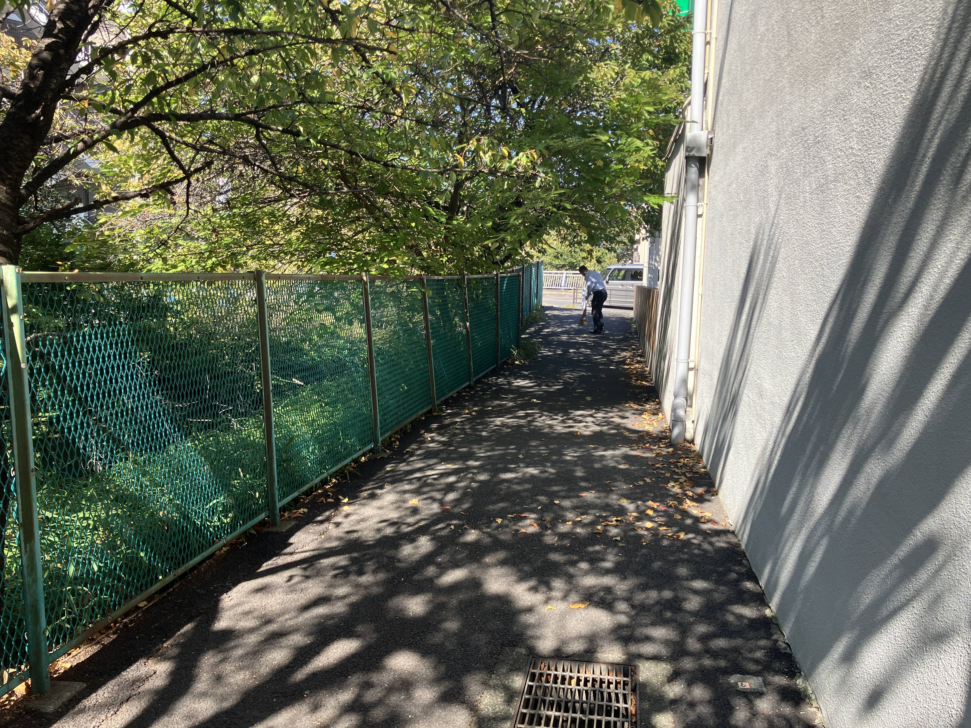 【地域貢献】秋の恵みと格闘！会社周辺の落ち葉清掃を行いました