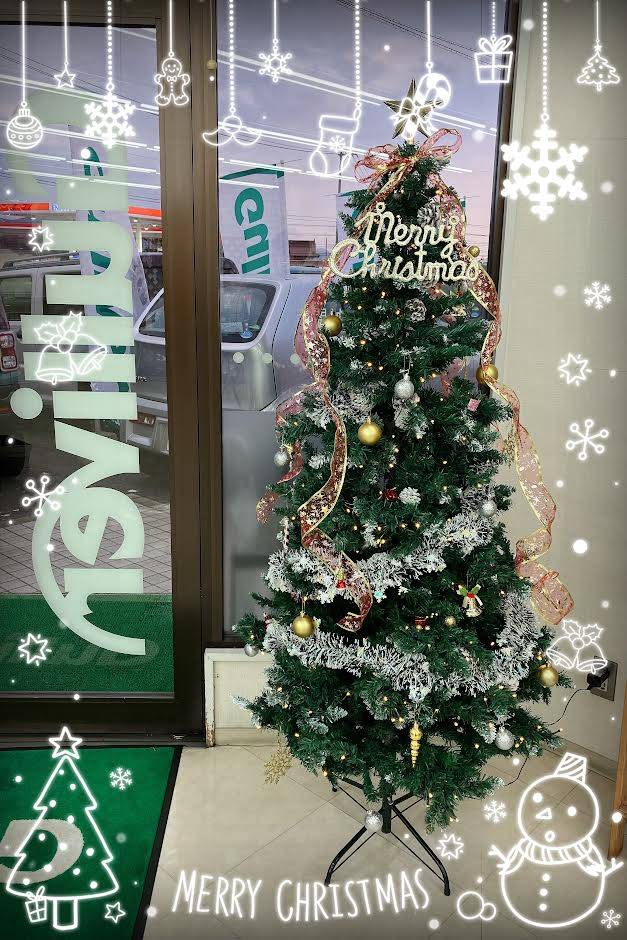 当店にもクリスマスツリーがやってきた！！