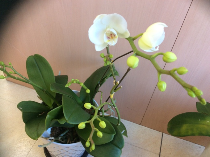 ♡ 3月突入 ♡