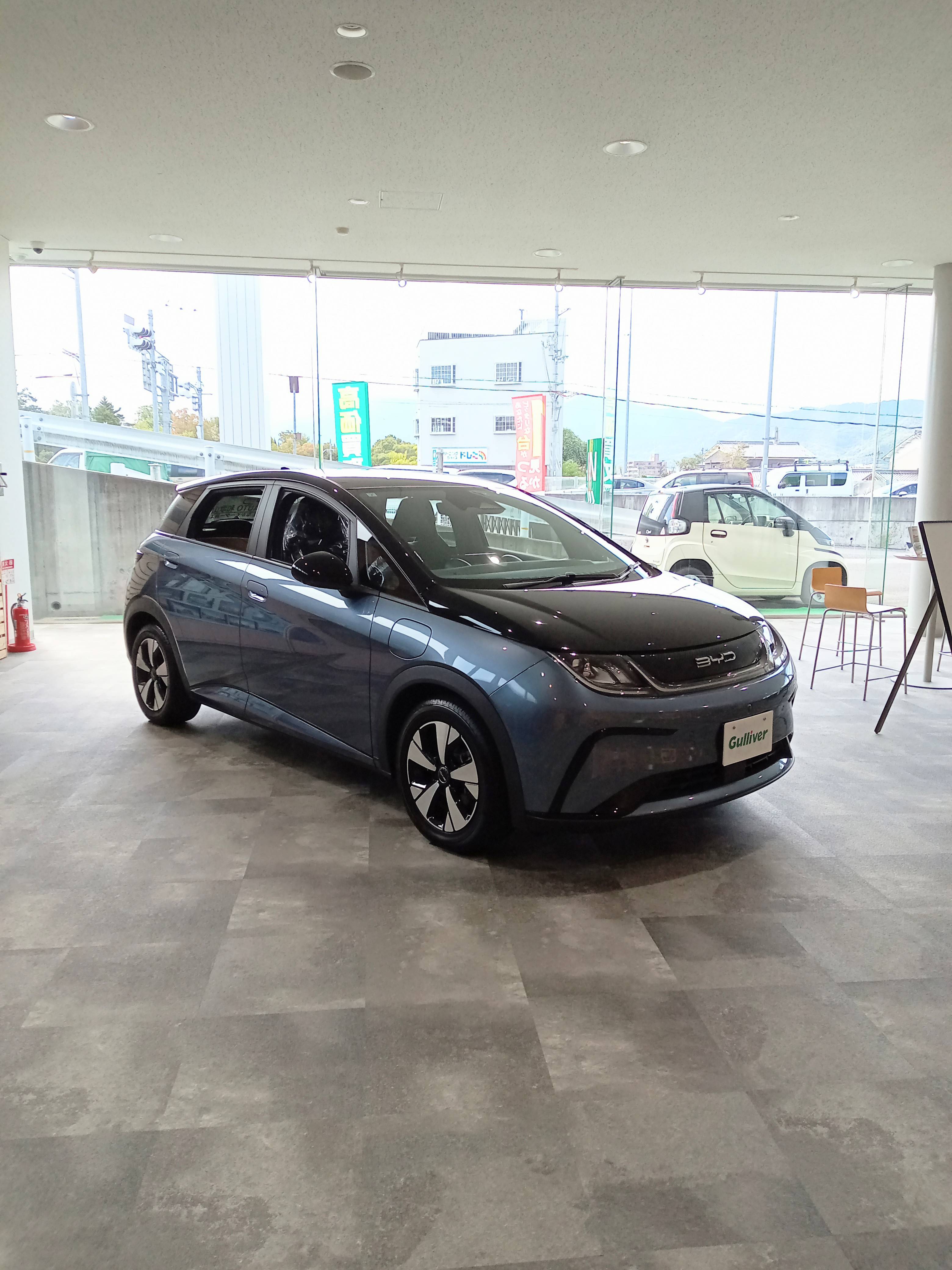 □□ BYDドルフィン 入庫 □□