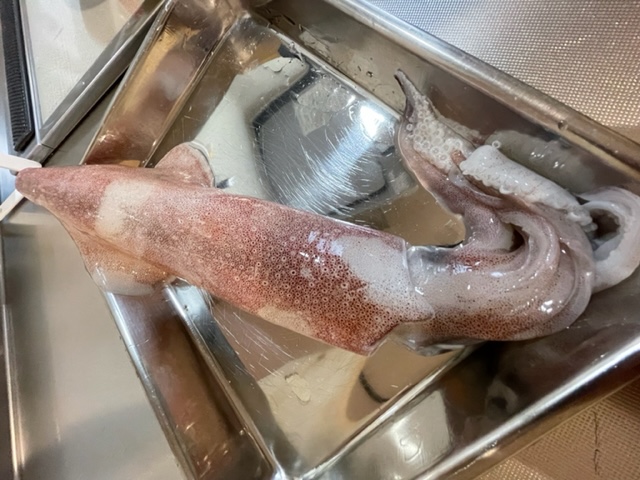 でっけーイカを食べた日