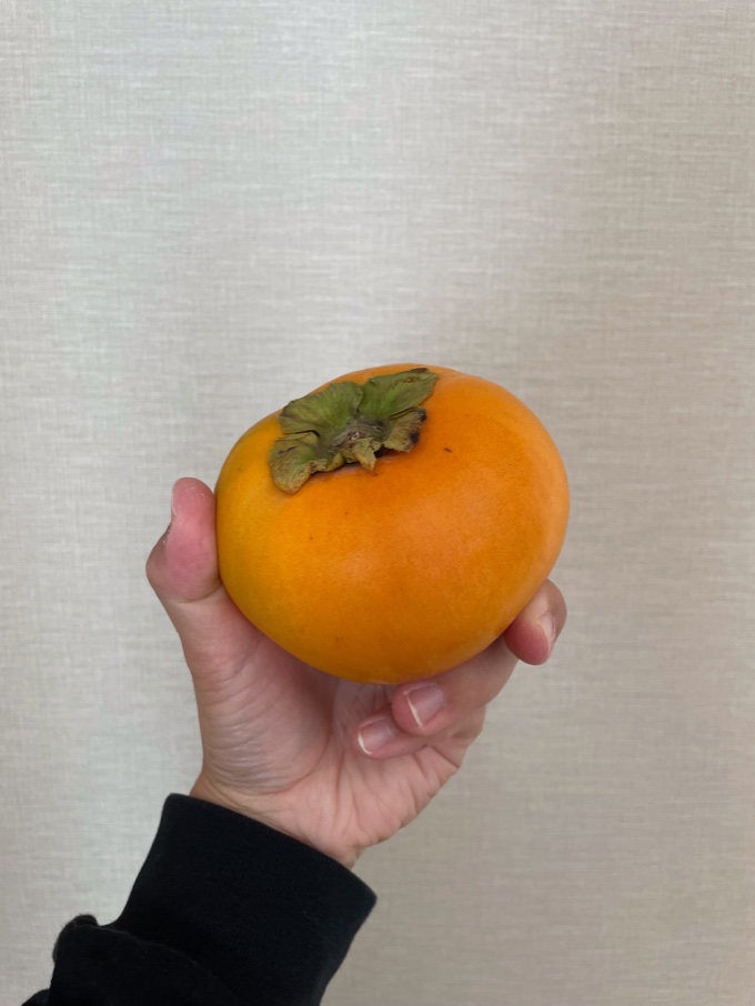 みんな〜柿食ってる？？