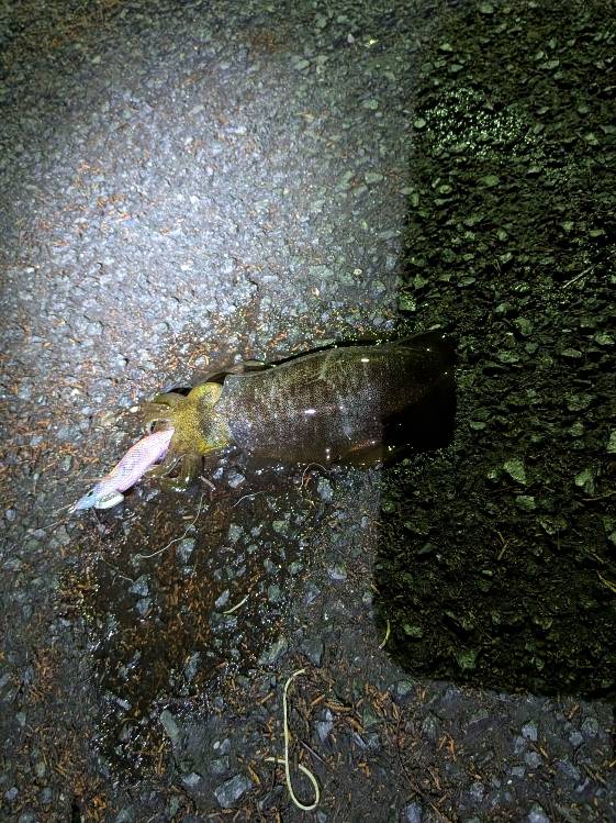 休日前の