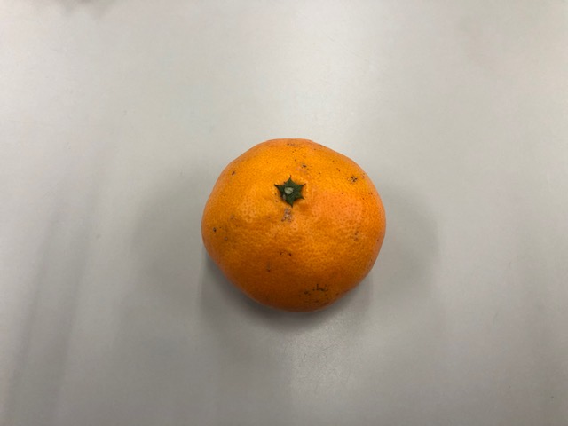 ありがとうございました