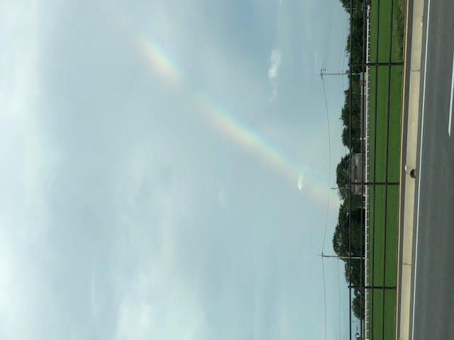 久しぶりに見ました！！