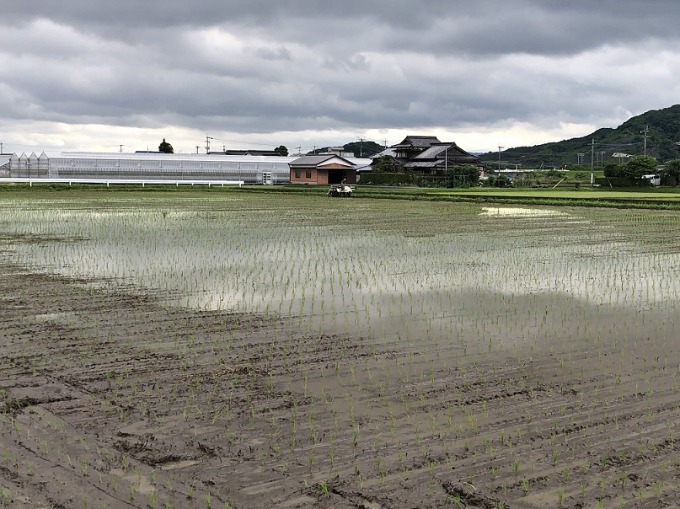 ☆田植えをしました☆