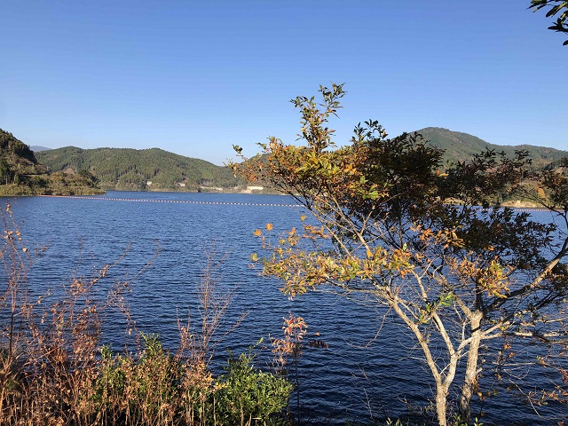 紅葉が綺麗でした！！