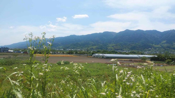 のどかな風景お届けします！！