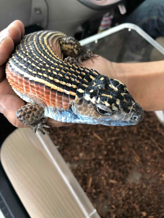 可愛い子に出会いました！！