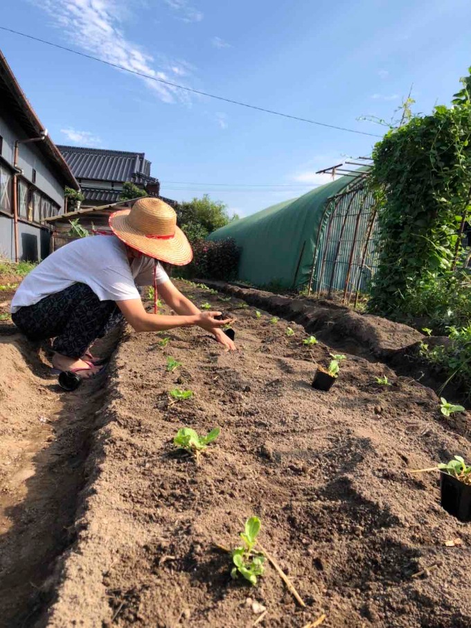キャベツと白菜02