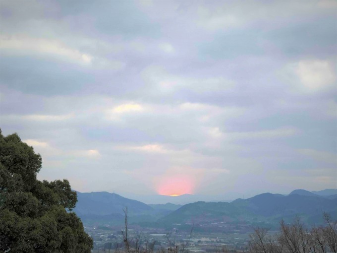今年も宜しくお願い致します。