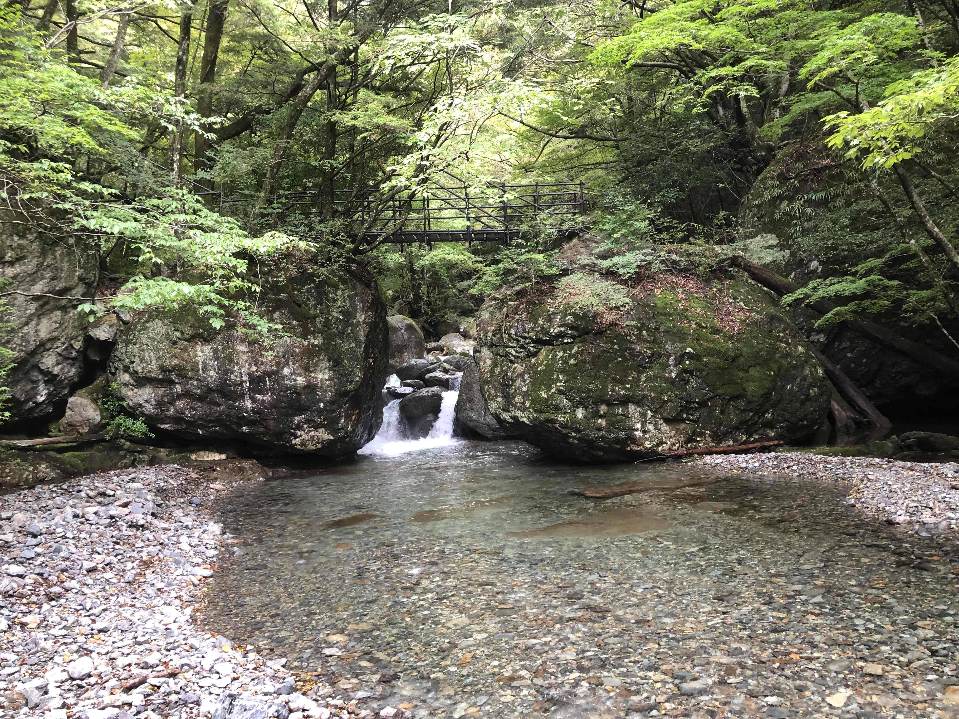 山へ行ってきました！