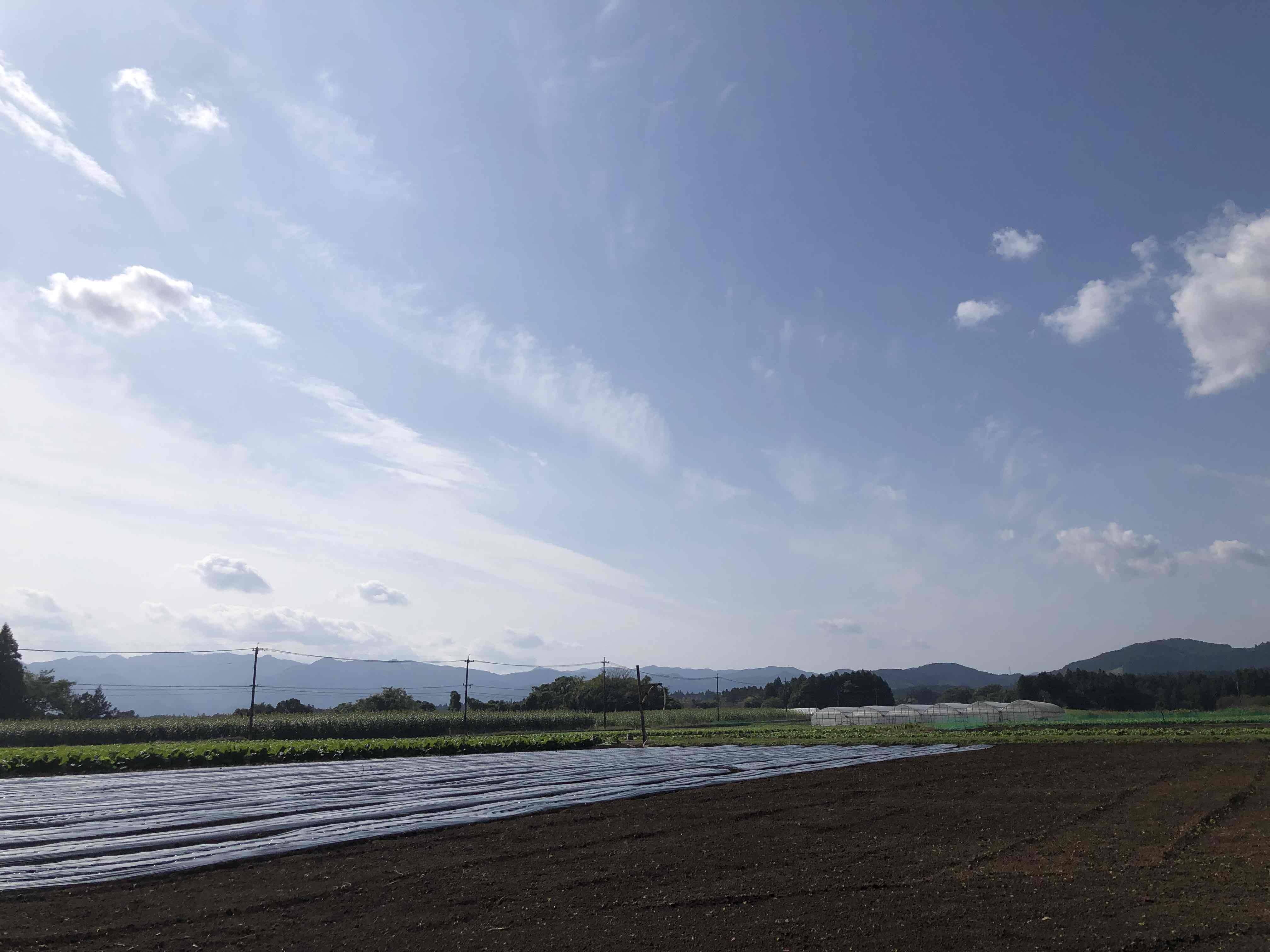 日田へ行ってきました！