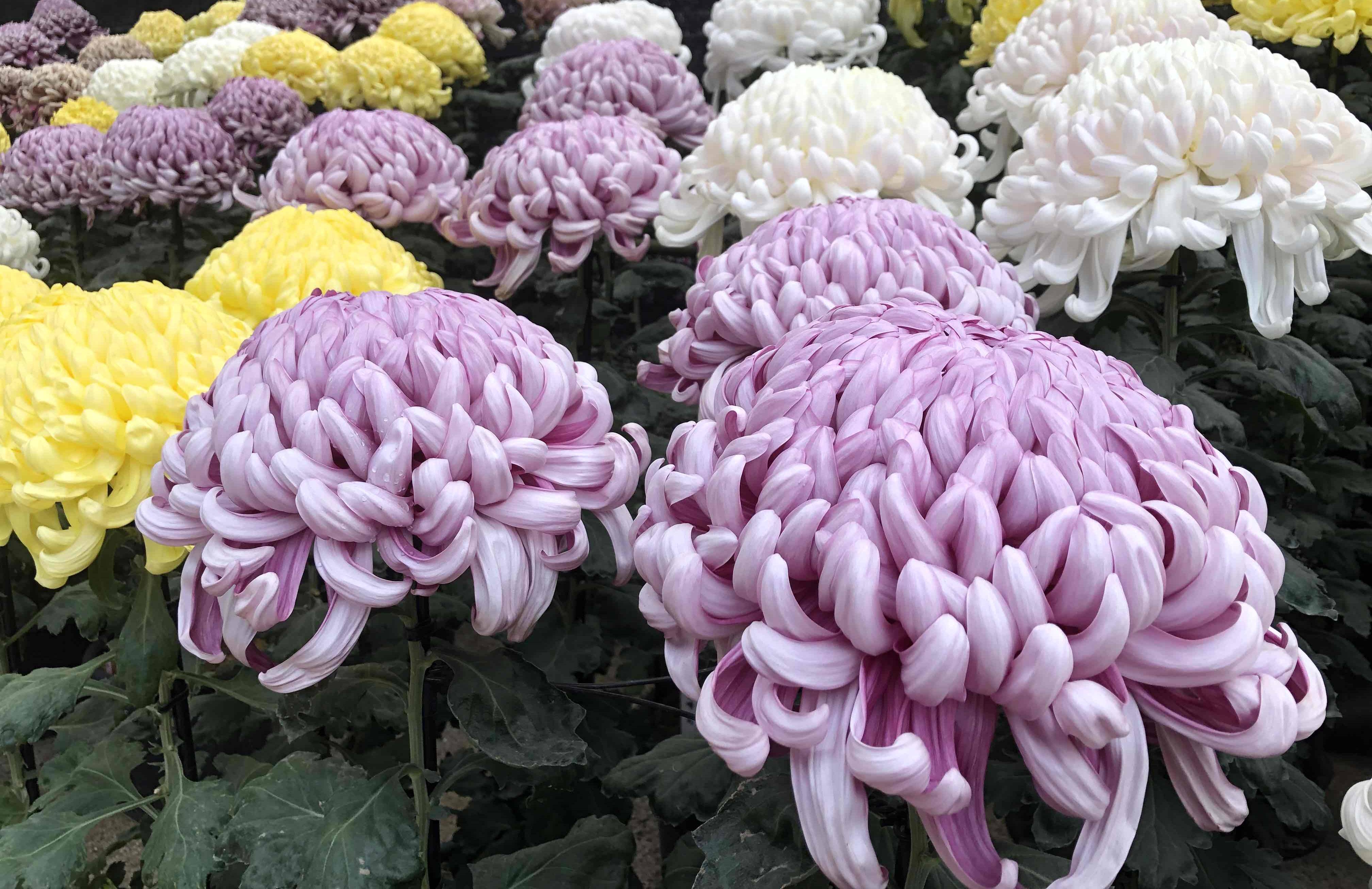 キレイでした！！