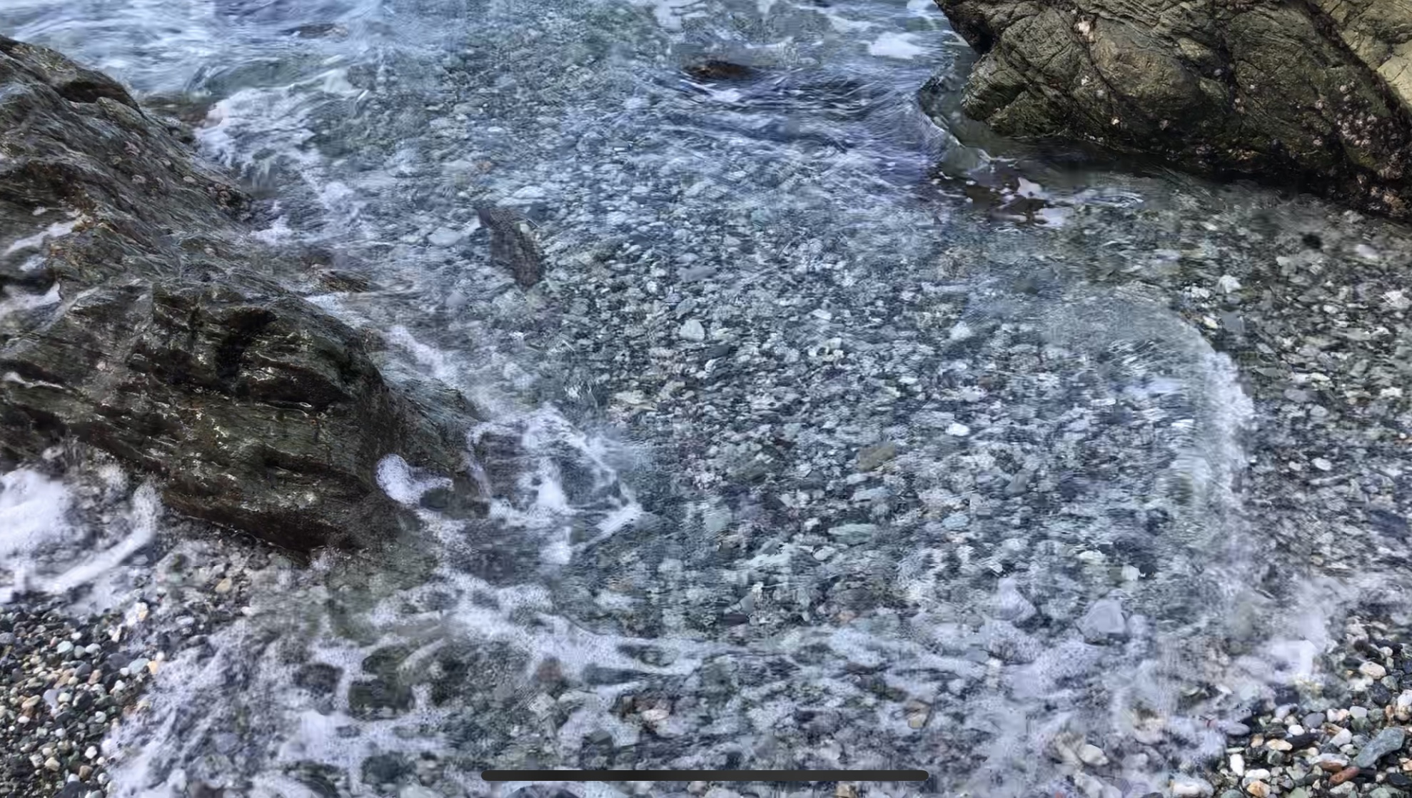 きれいでした！！