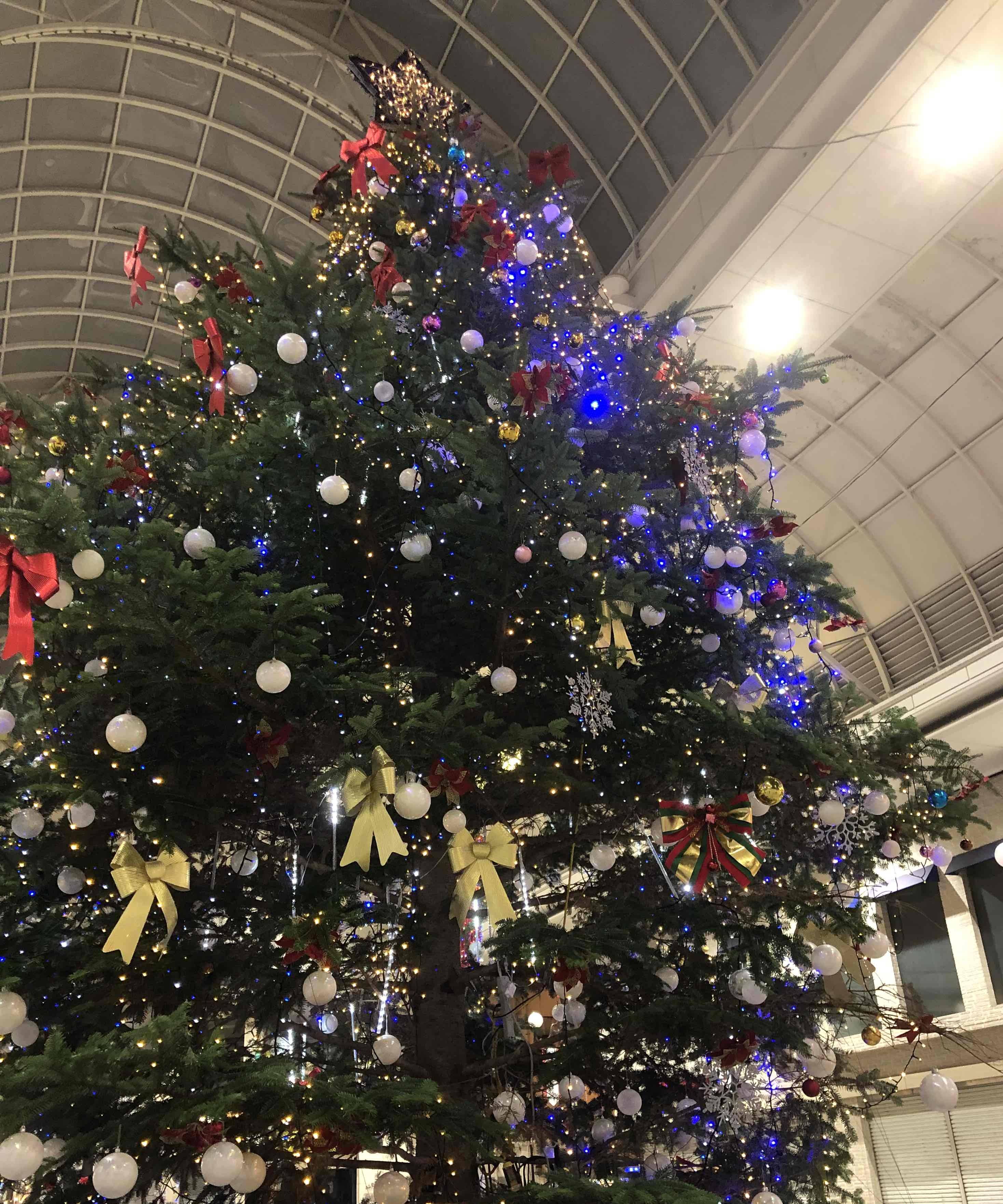 もうすぐクリスマス