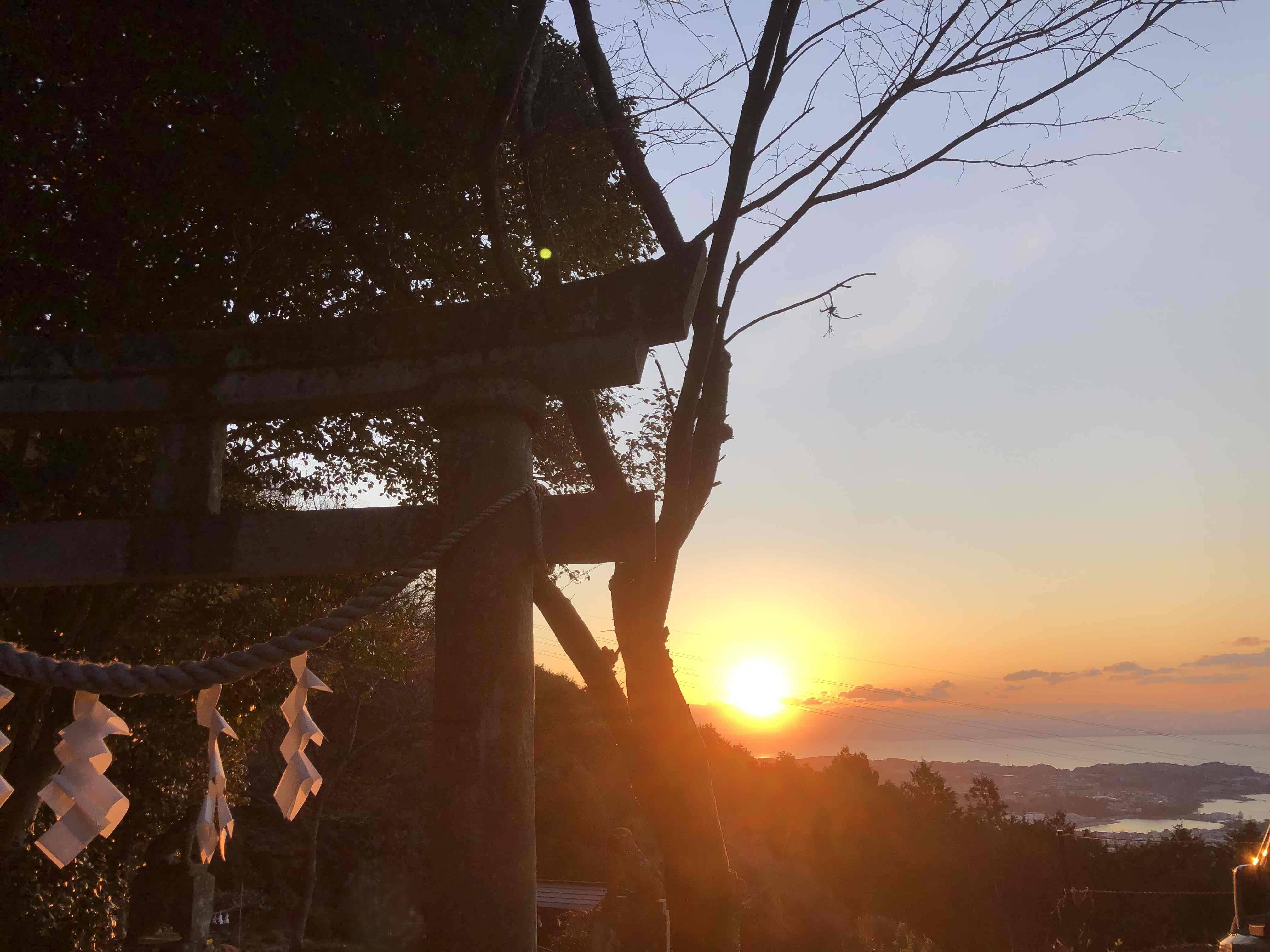 見れました！！