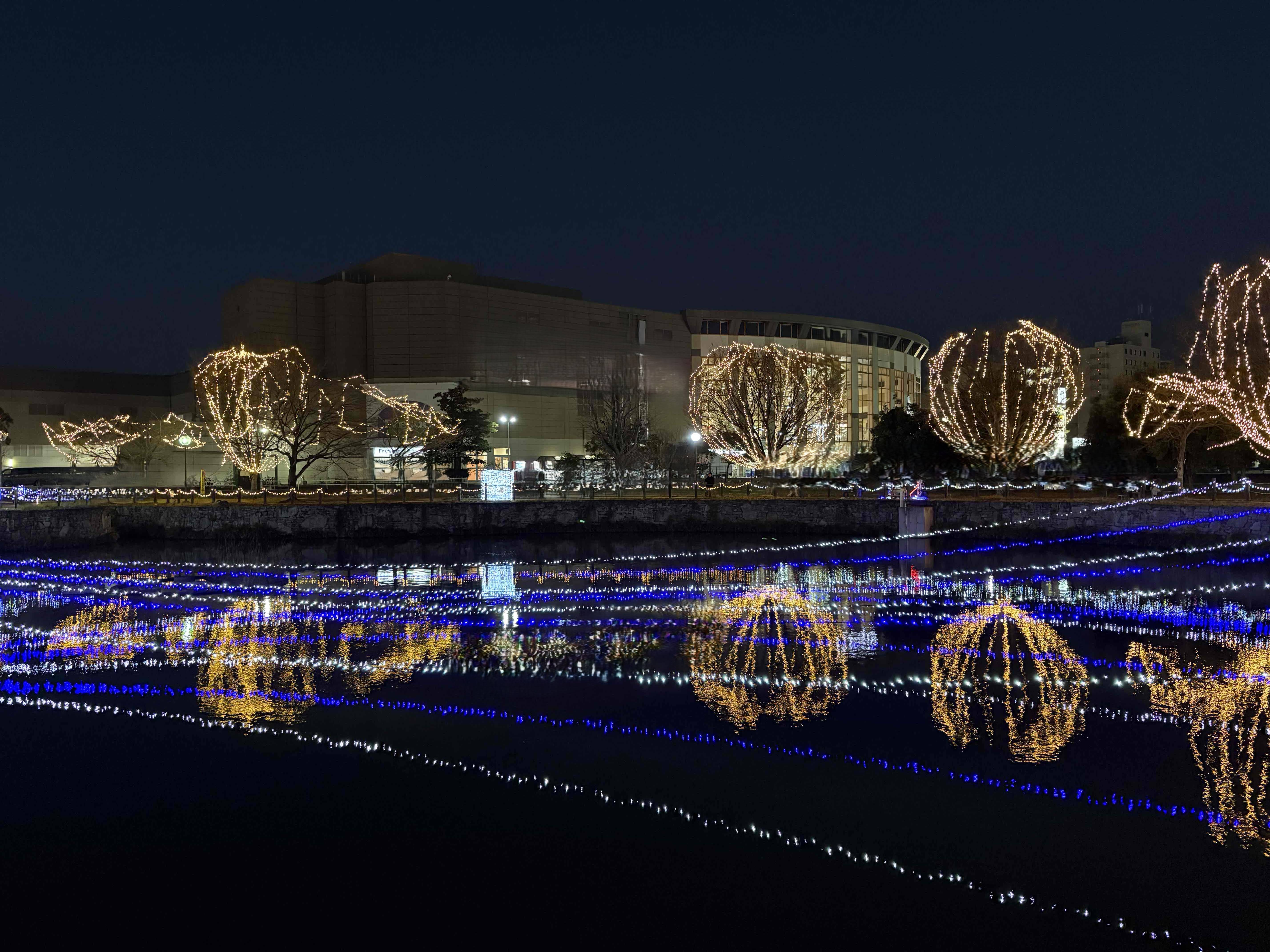 キレイでした！！