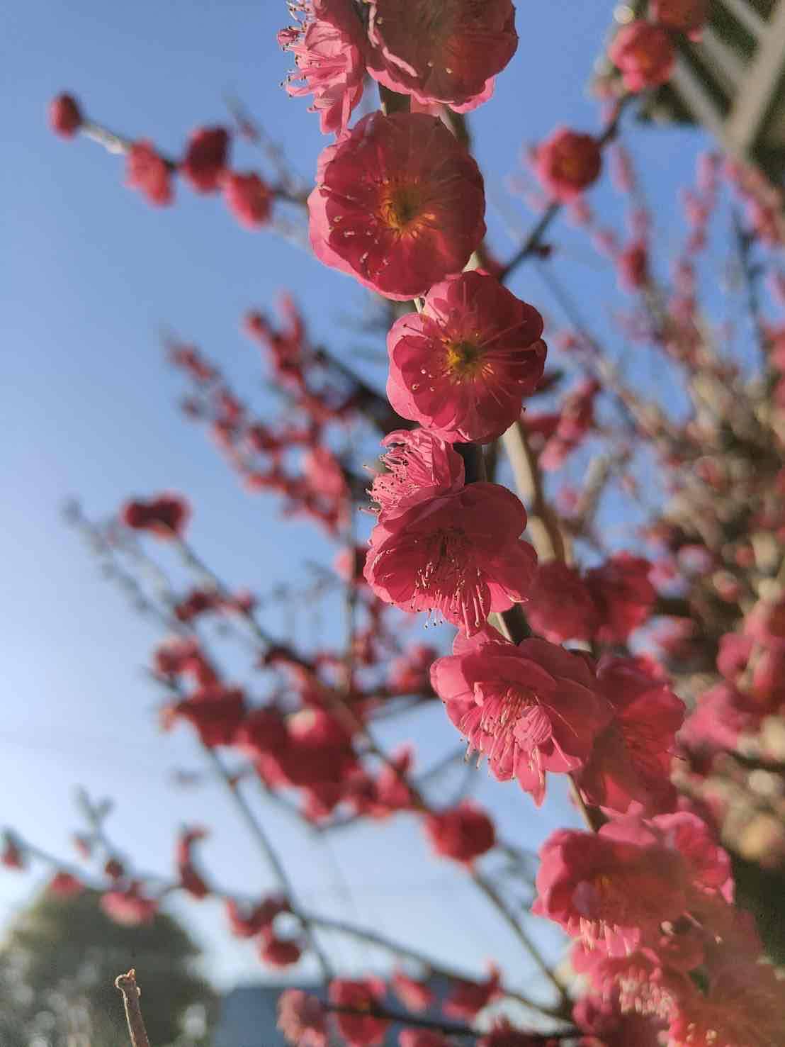 いい感じです！！