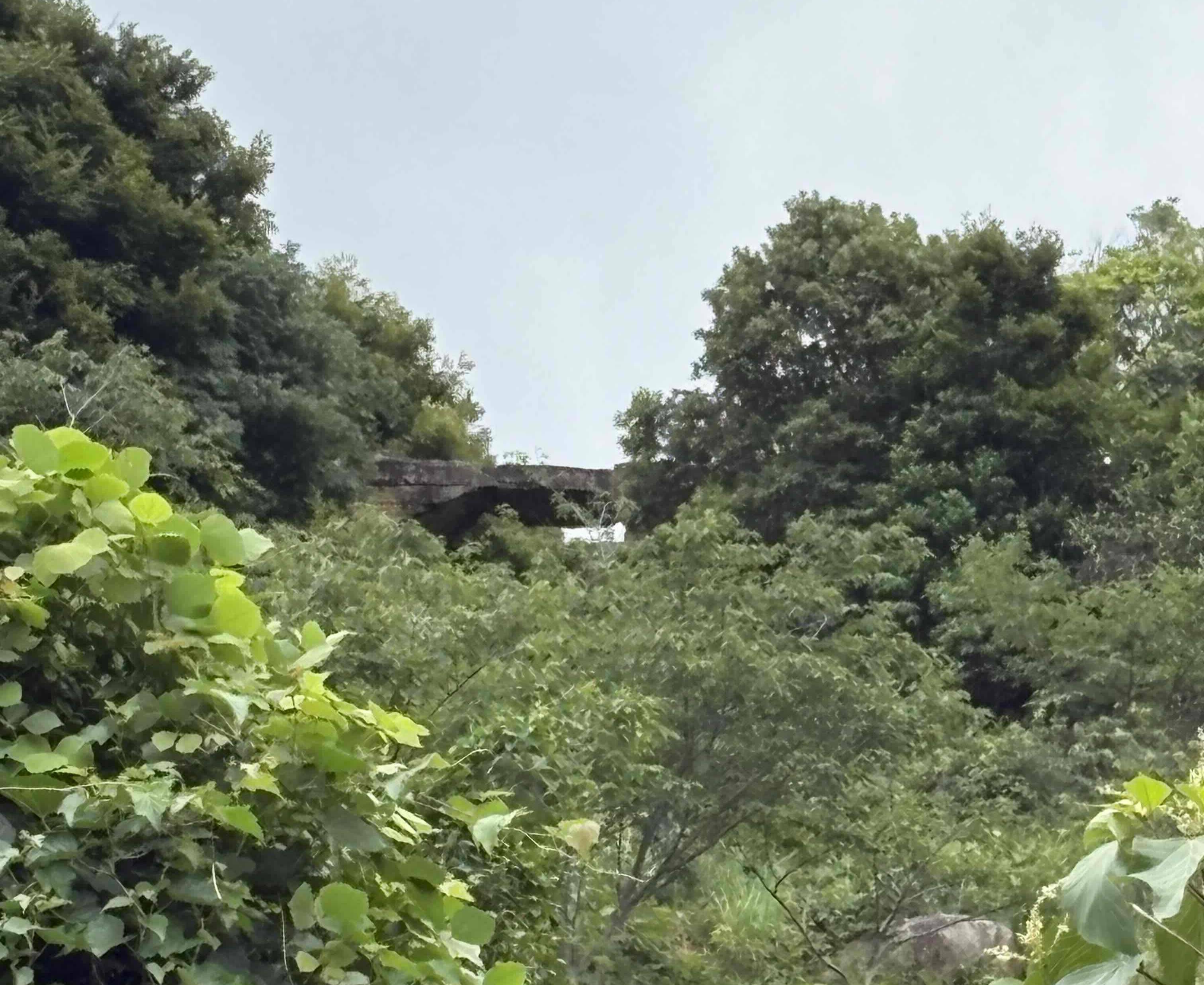山の中に橋！！