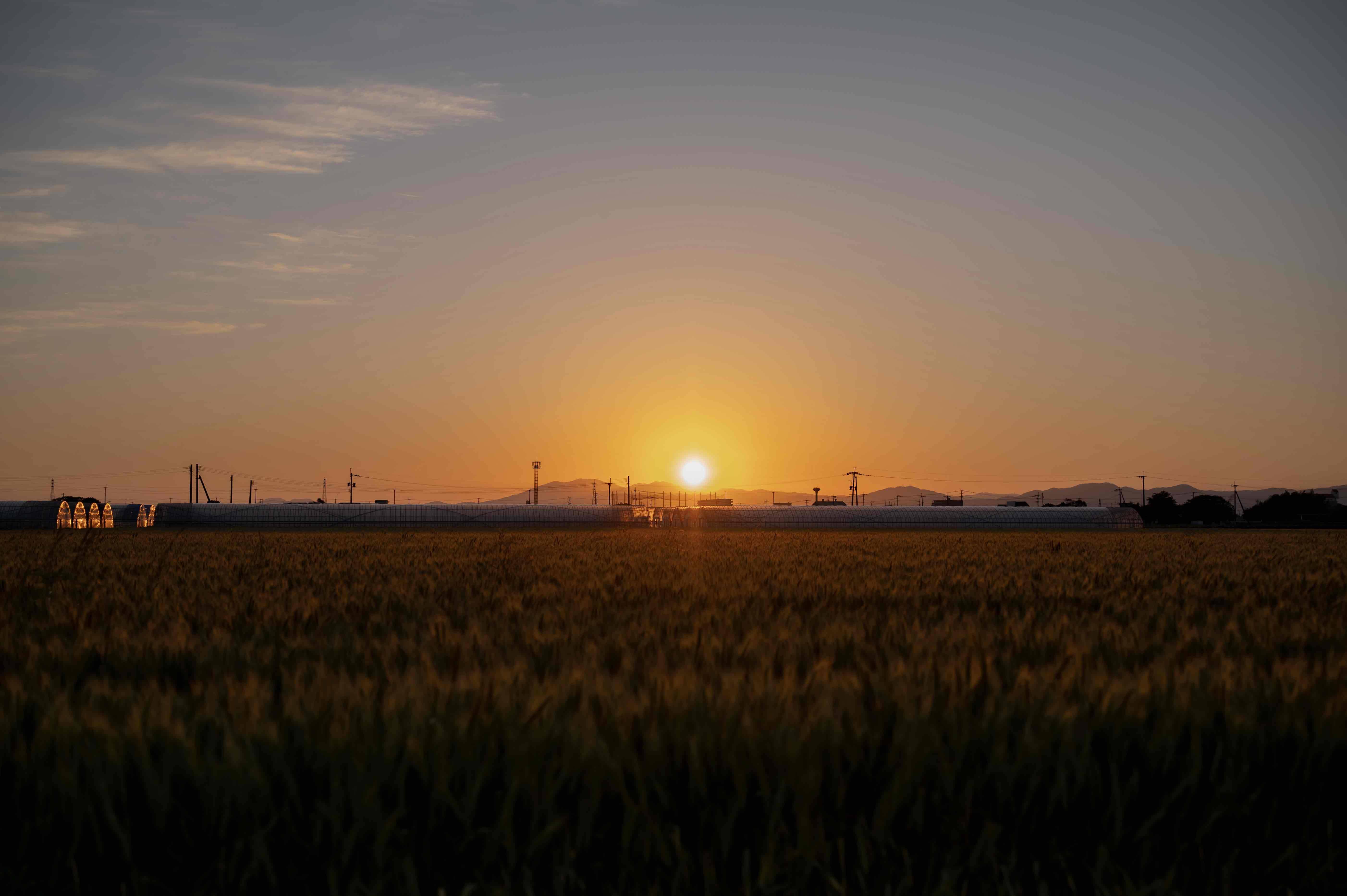 夕日