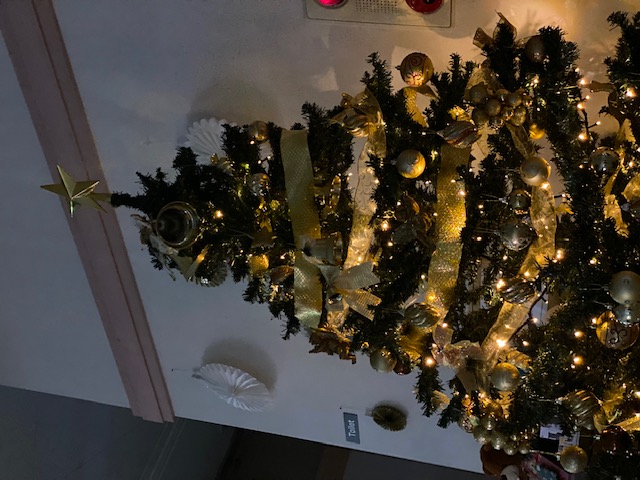 ガリバー金沢増泉店　夜のクリスマスツリー♪