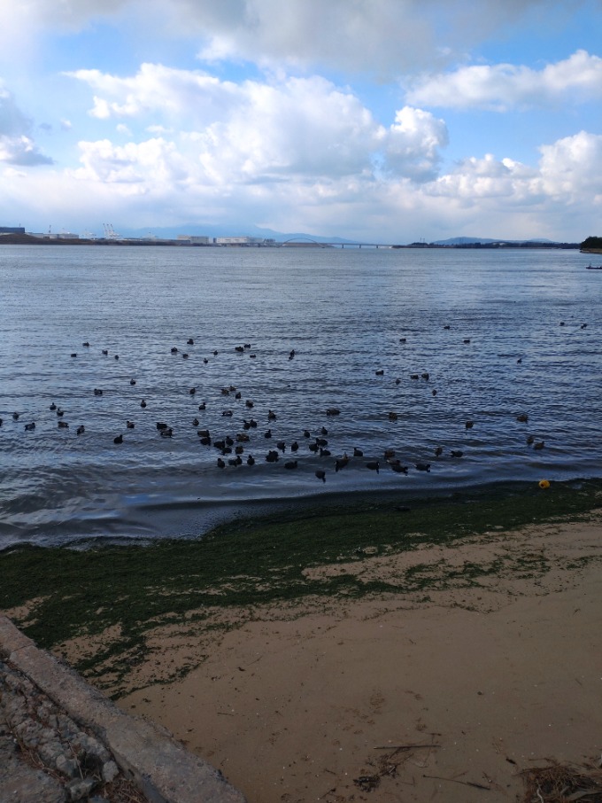 凍えながら・・・