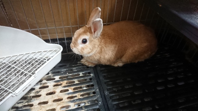 天寿を全うしました！