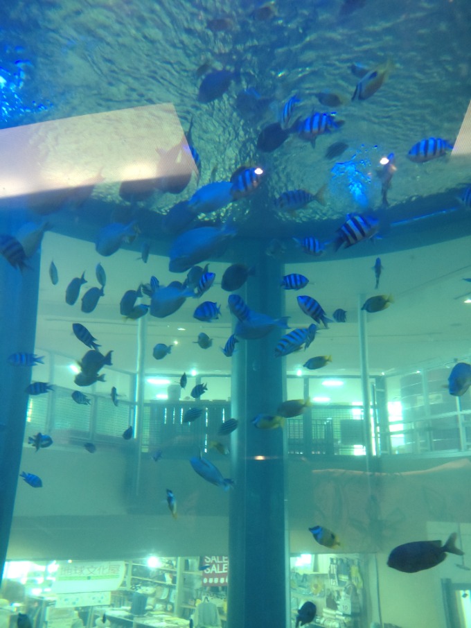 ちょっと寄り道！