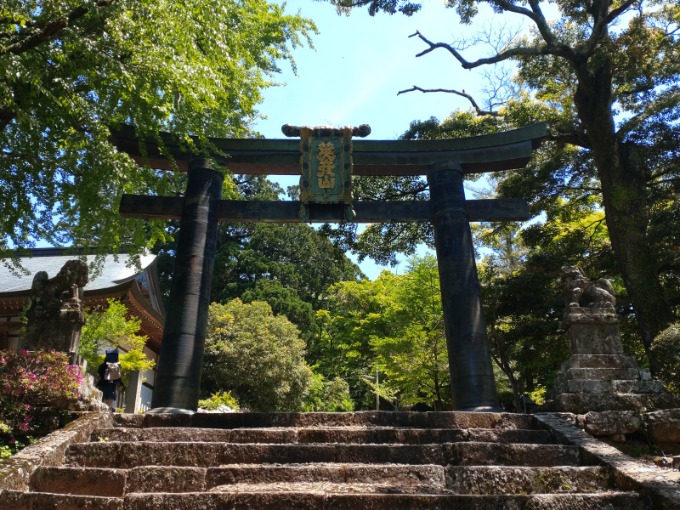 本日から通常営業しています！