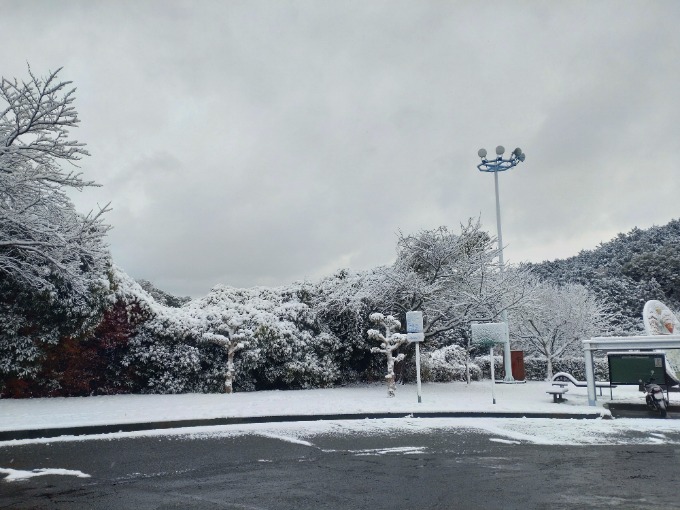 雪にも負けず元気に営業中しています！