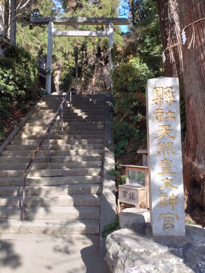 今年は良い年になりそうです！