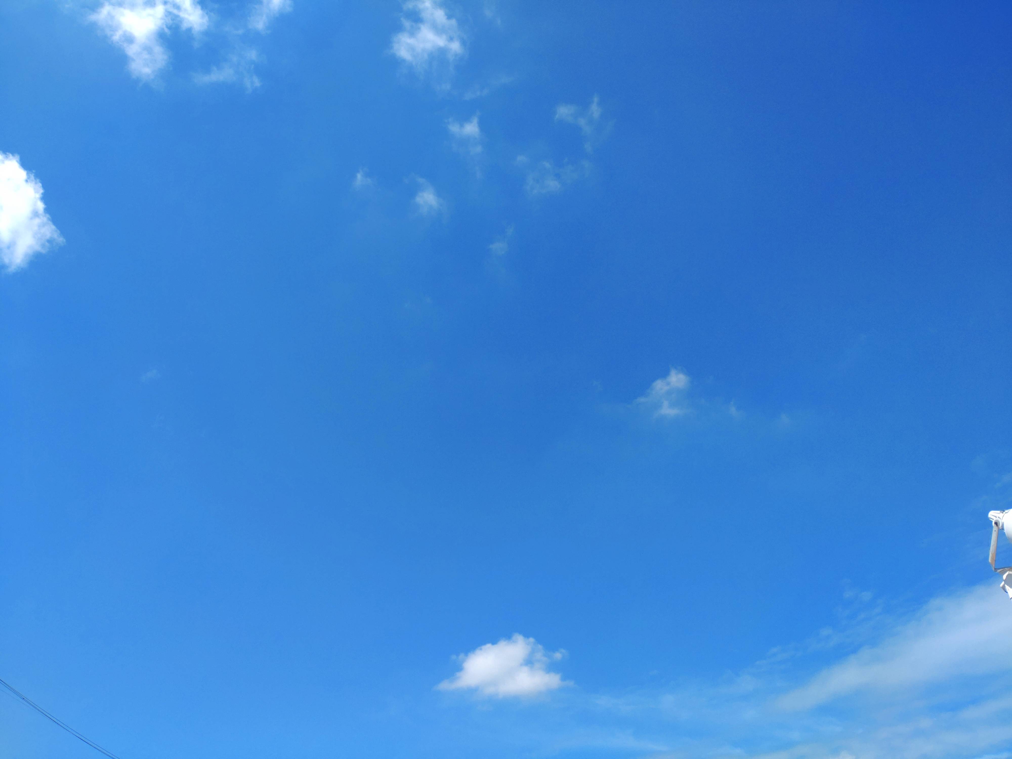 少しずつですが秋の気配が・・