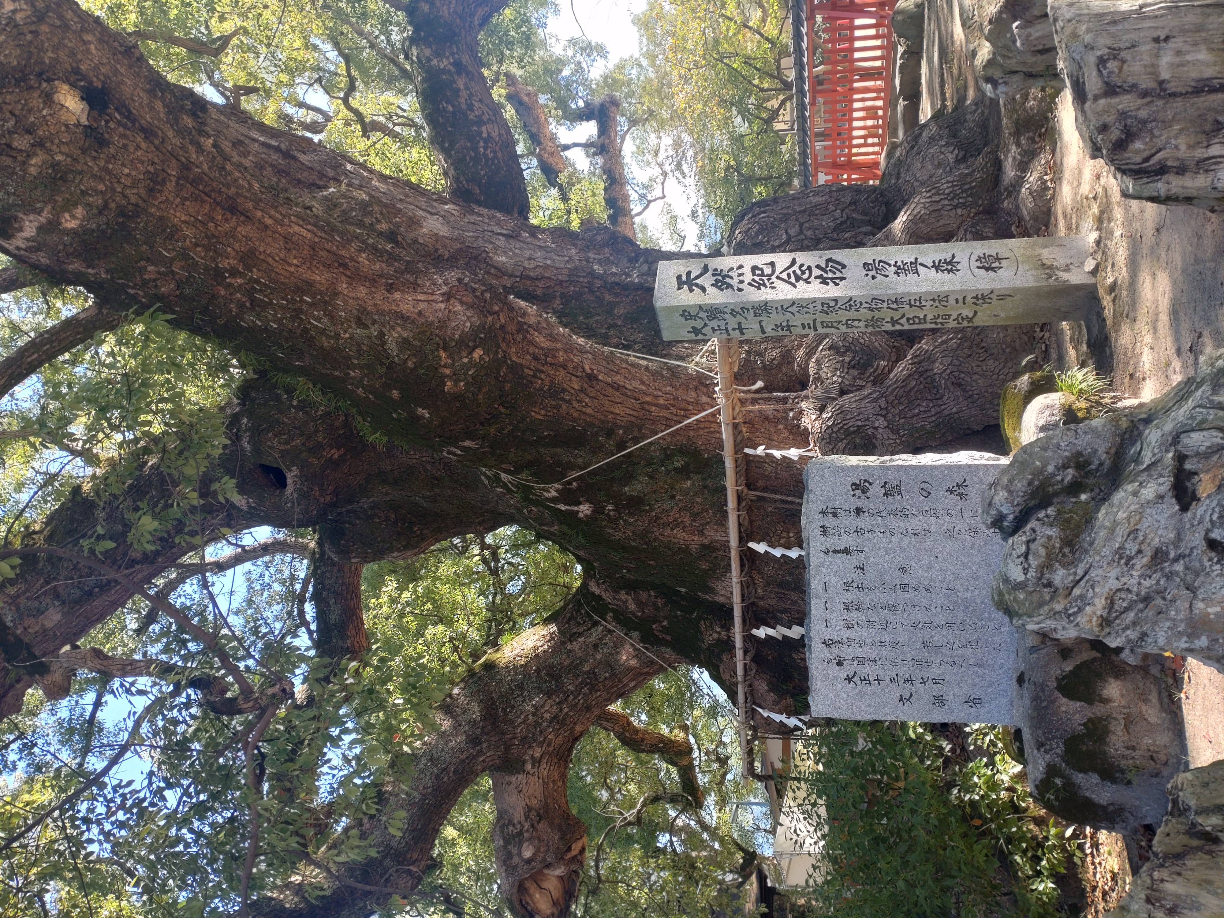 安産祈願で有名です！！04