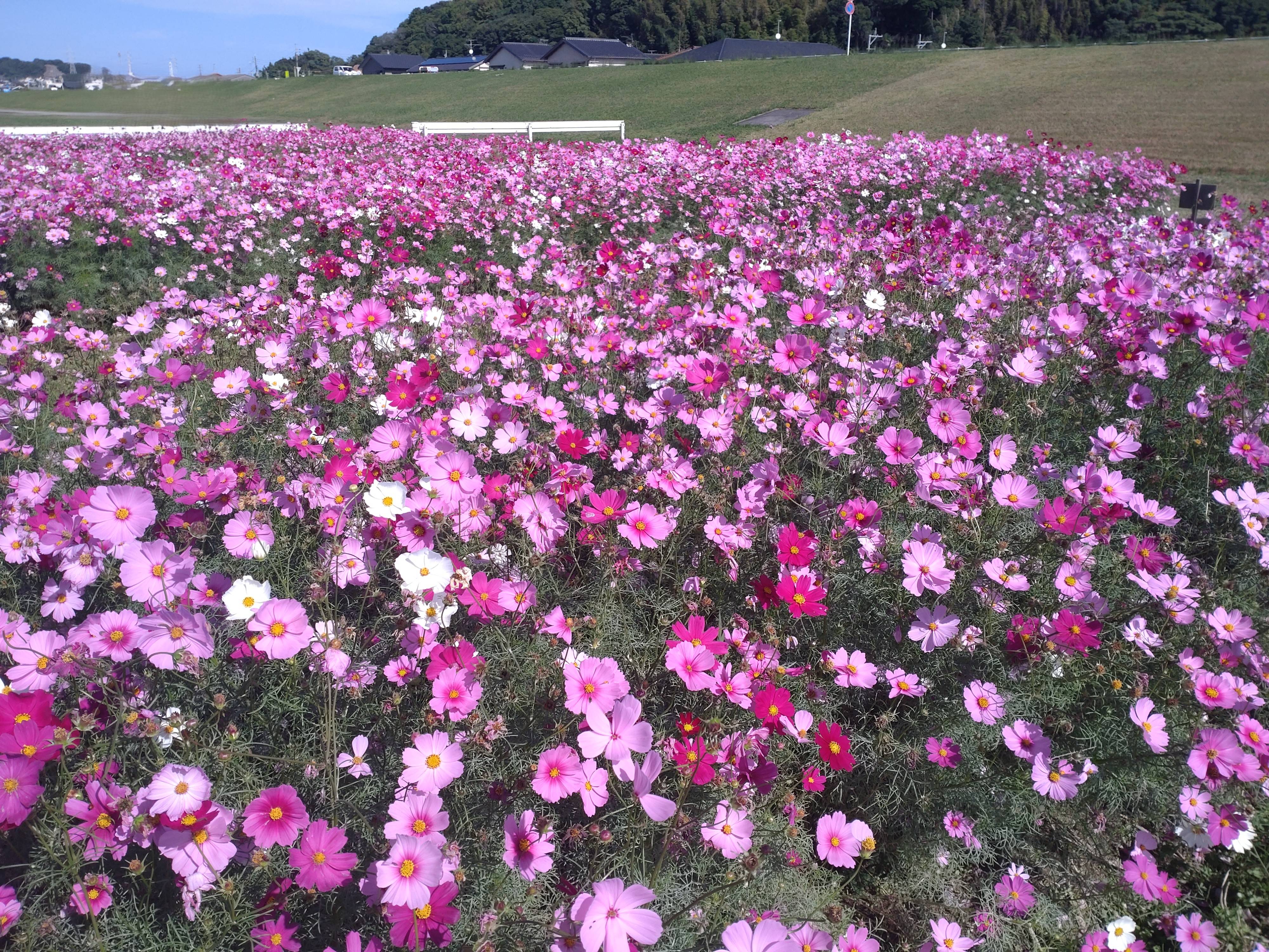今年も行ってきました！！01