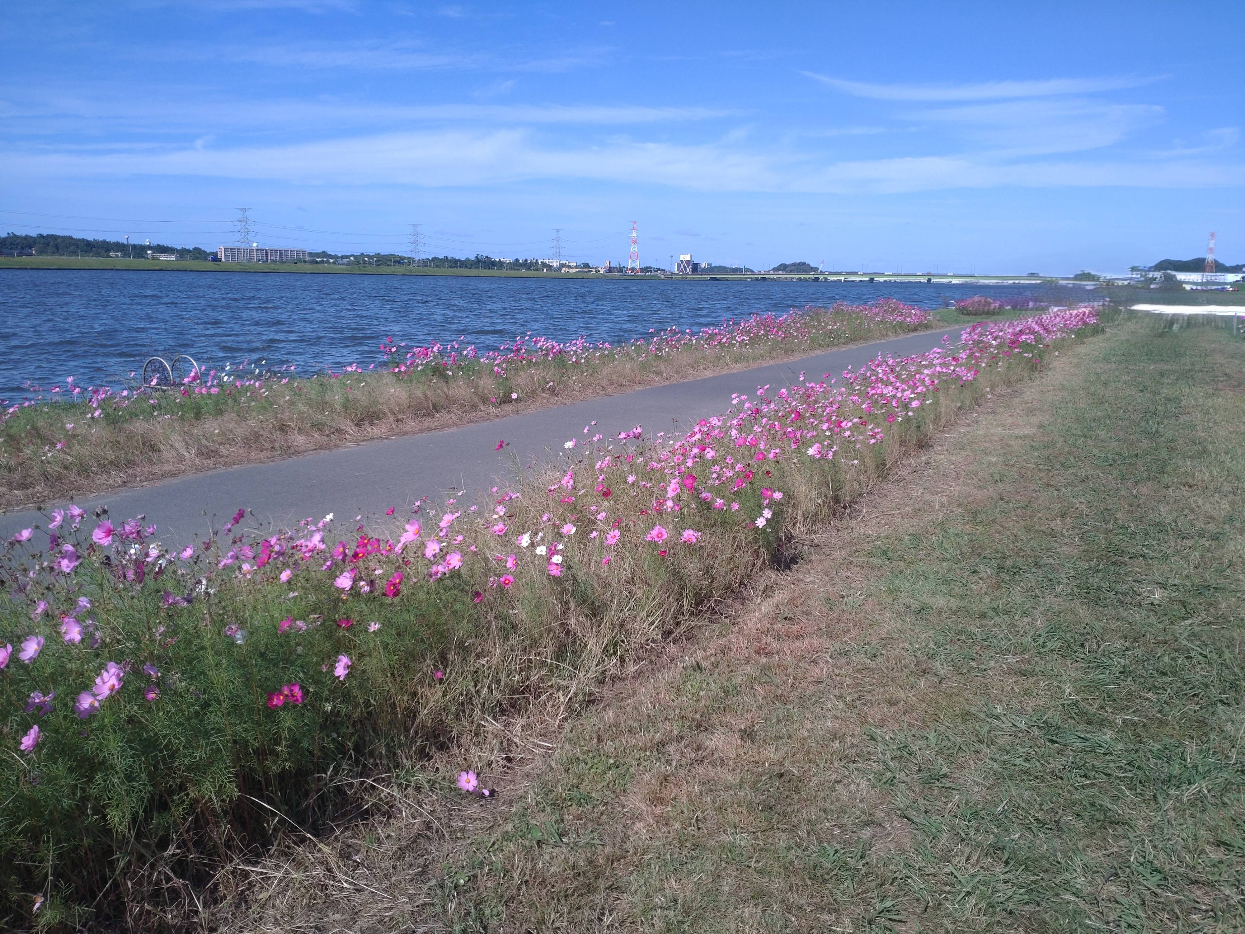 今年も行ってきました！！02