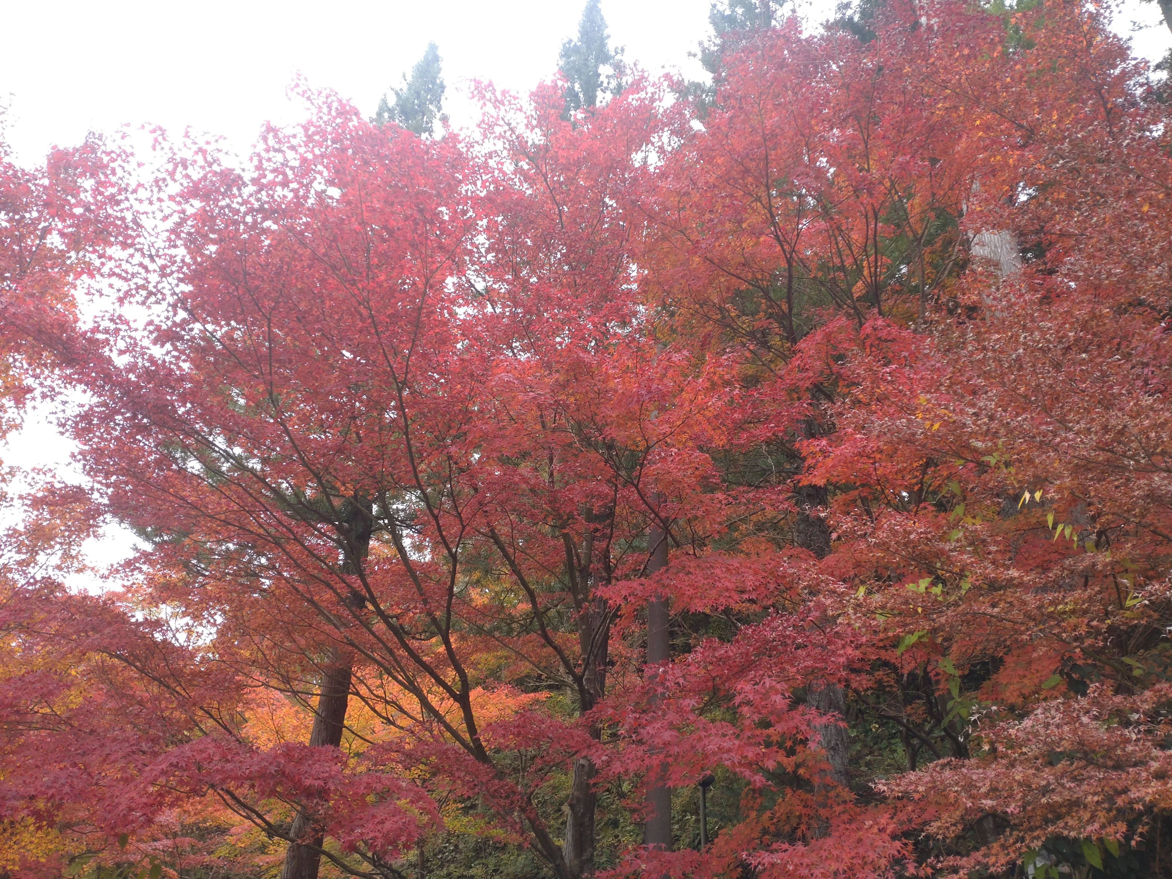 今年も絶景でした！！01