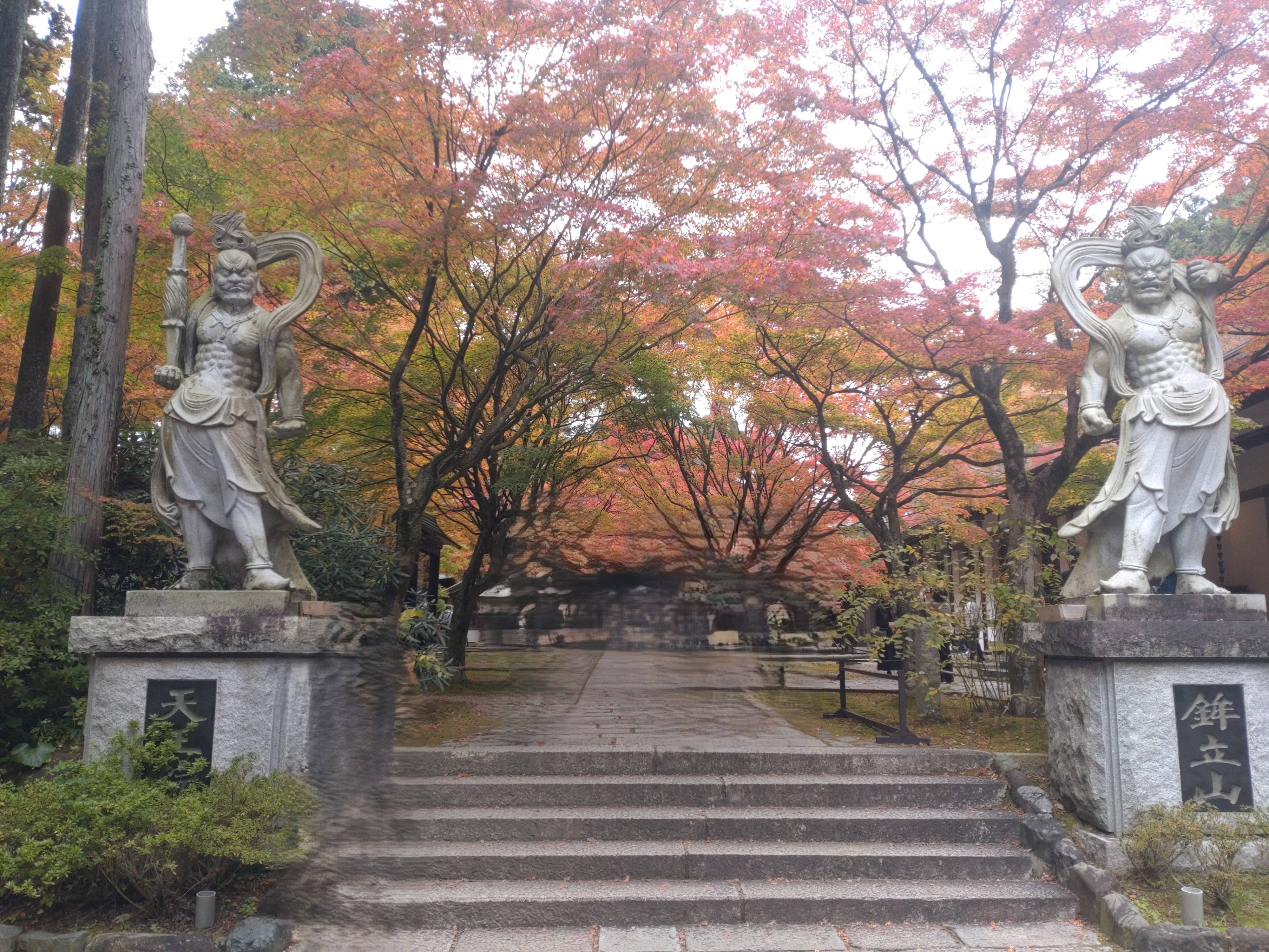 今年も絶景でした！！03