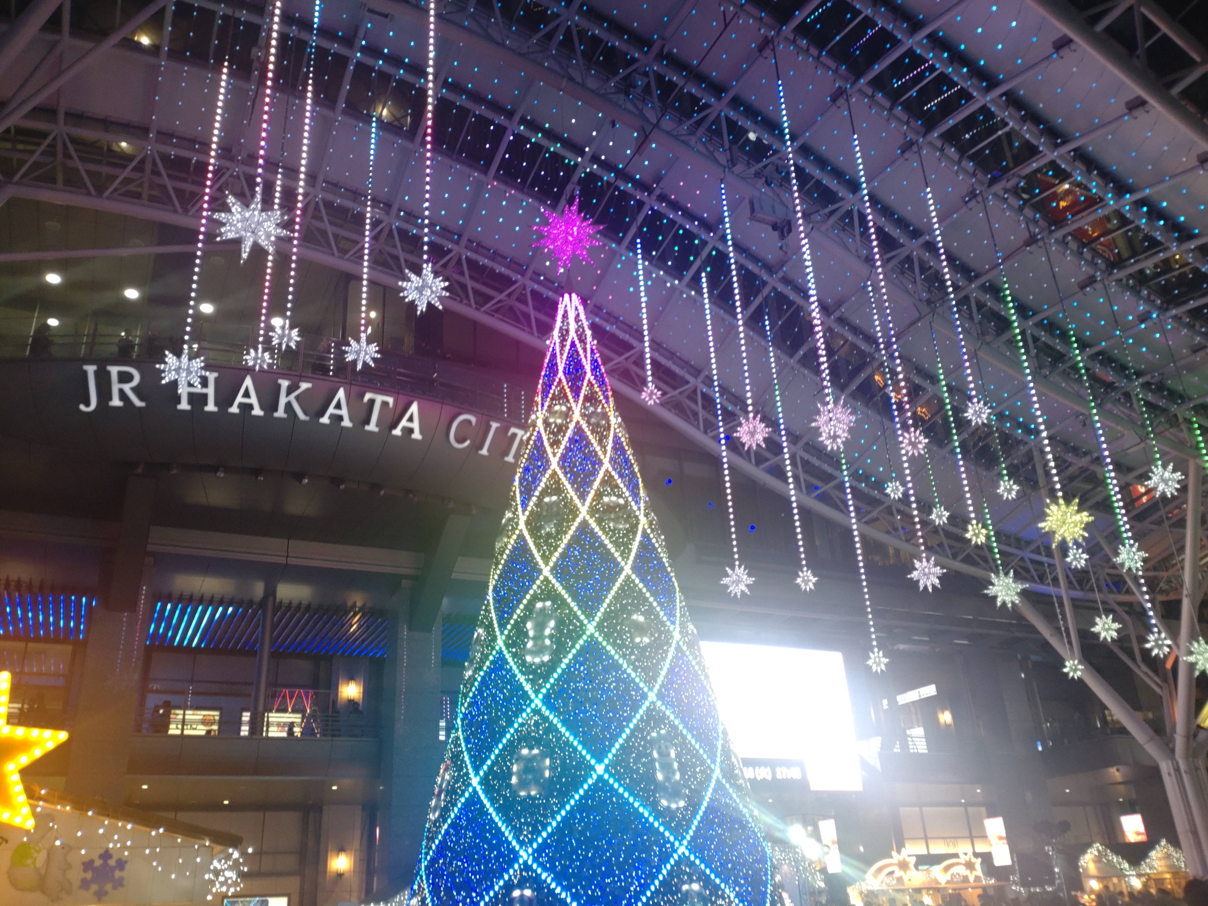 今年もこの季節がやってきました！！01