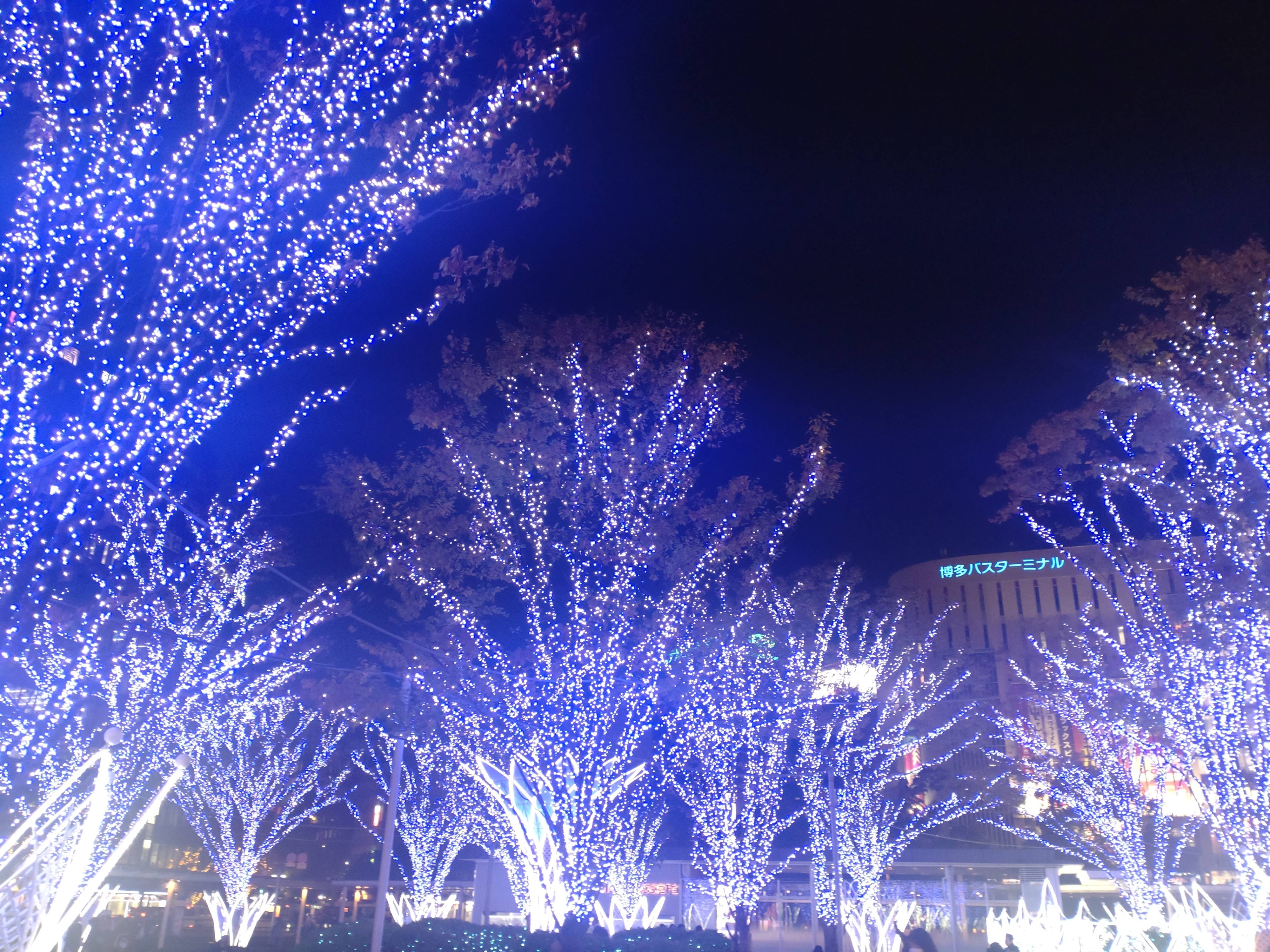 今年もこの季節がやってきました！！02