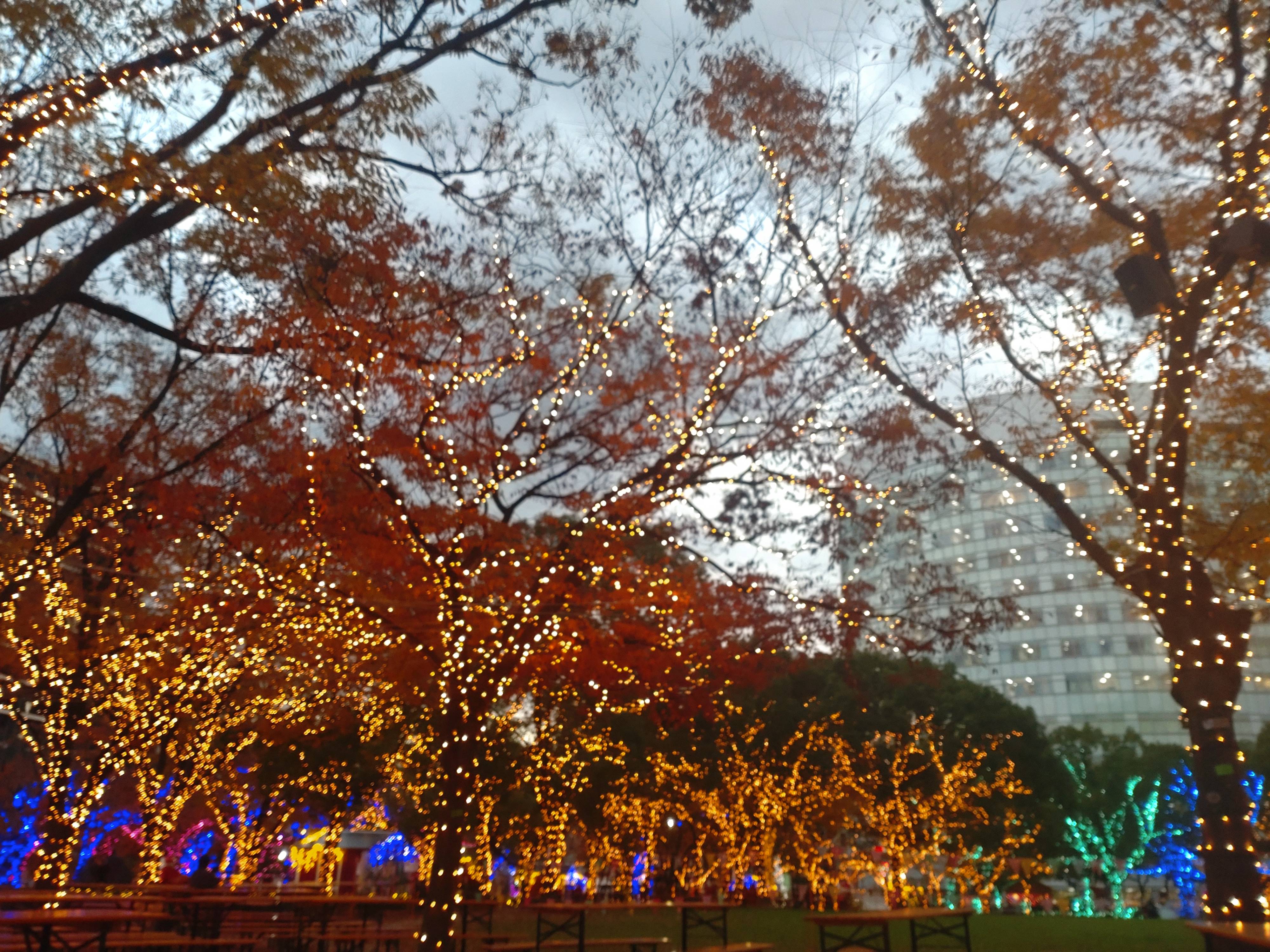 ちょっと時間が早かったんですが・・・01