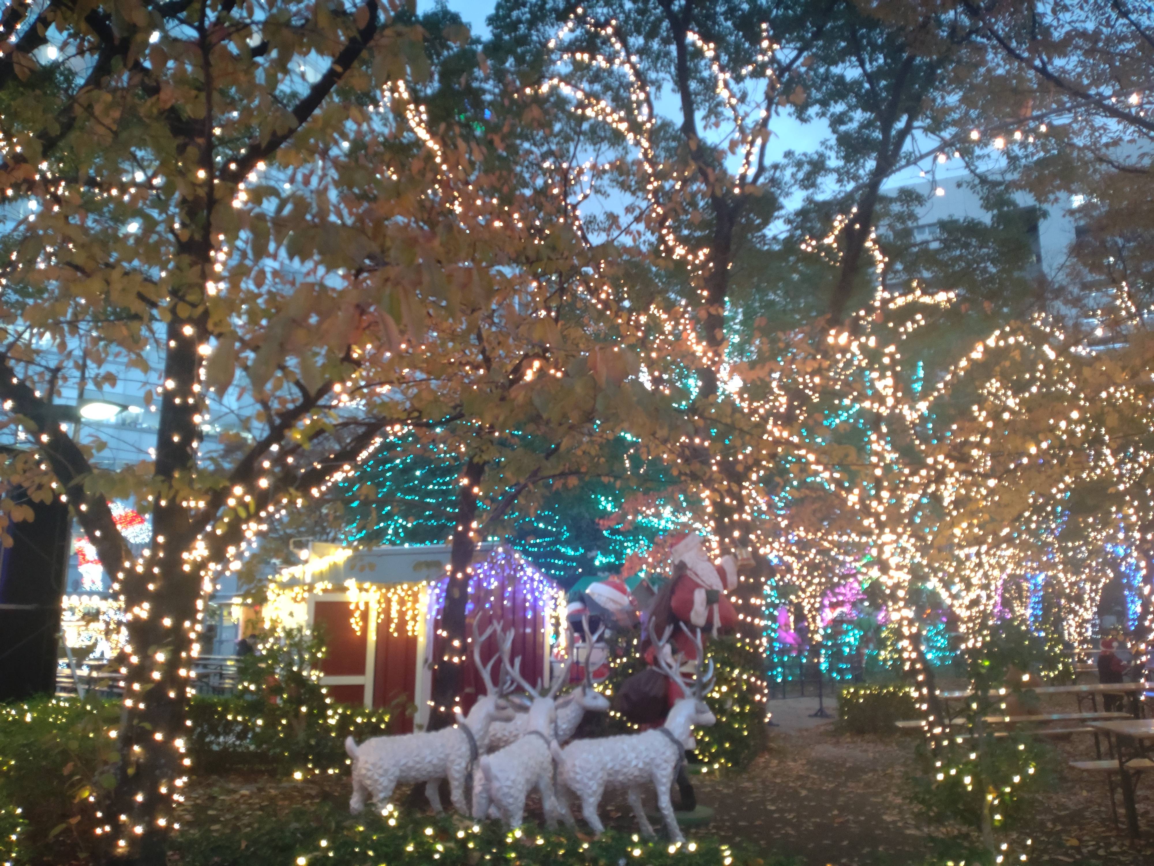 ちょっと時間が早かったんですが・・・02