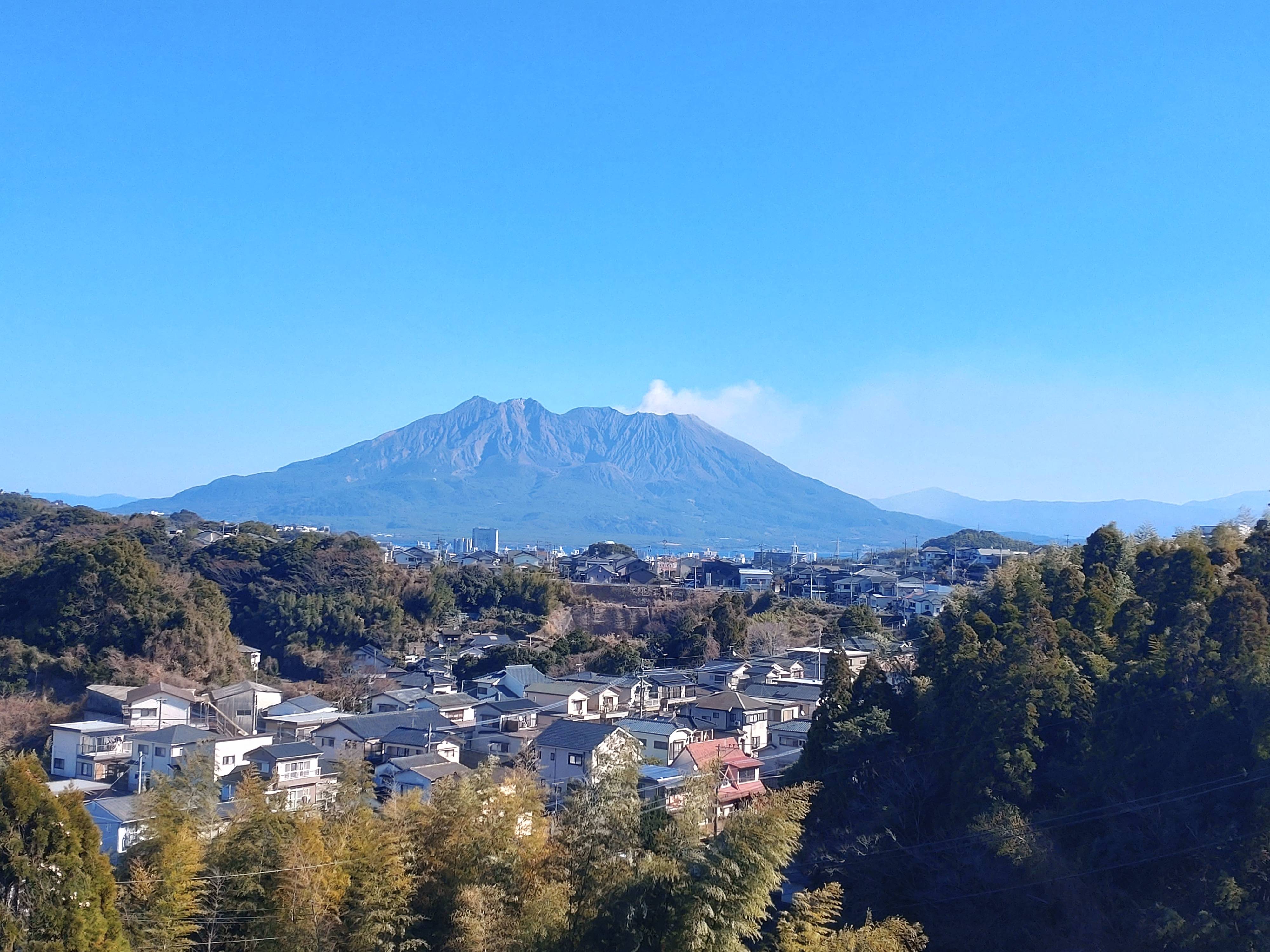 何度見ても・・・