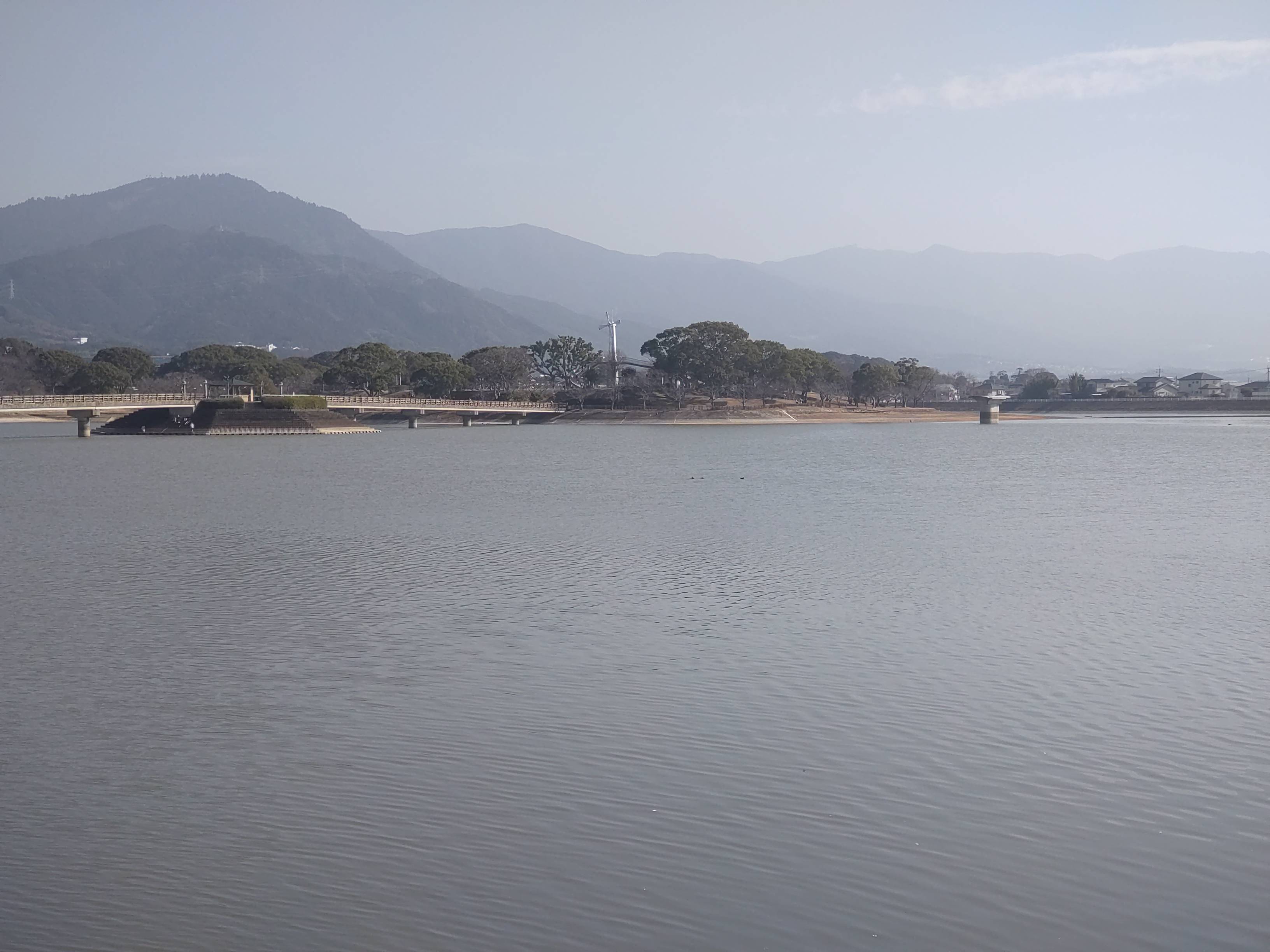 絶好のお散歩日和でした！