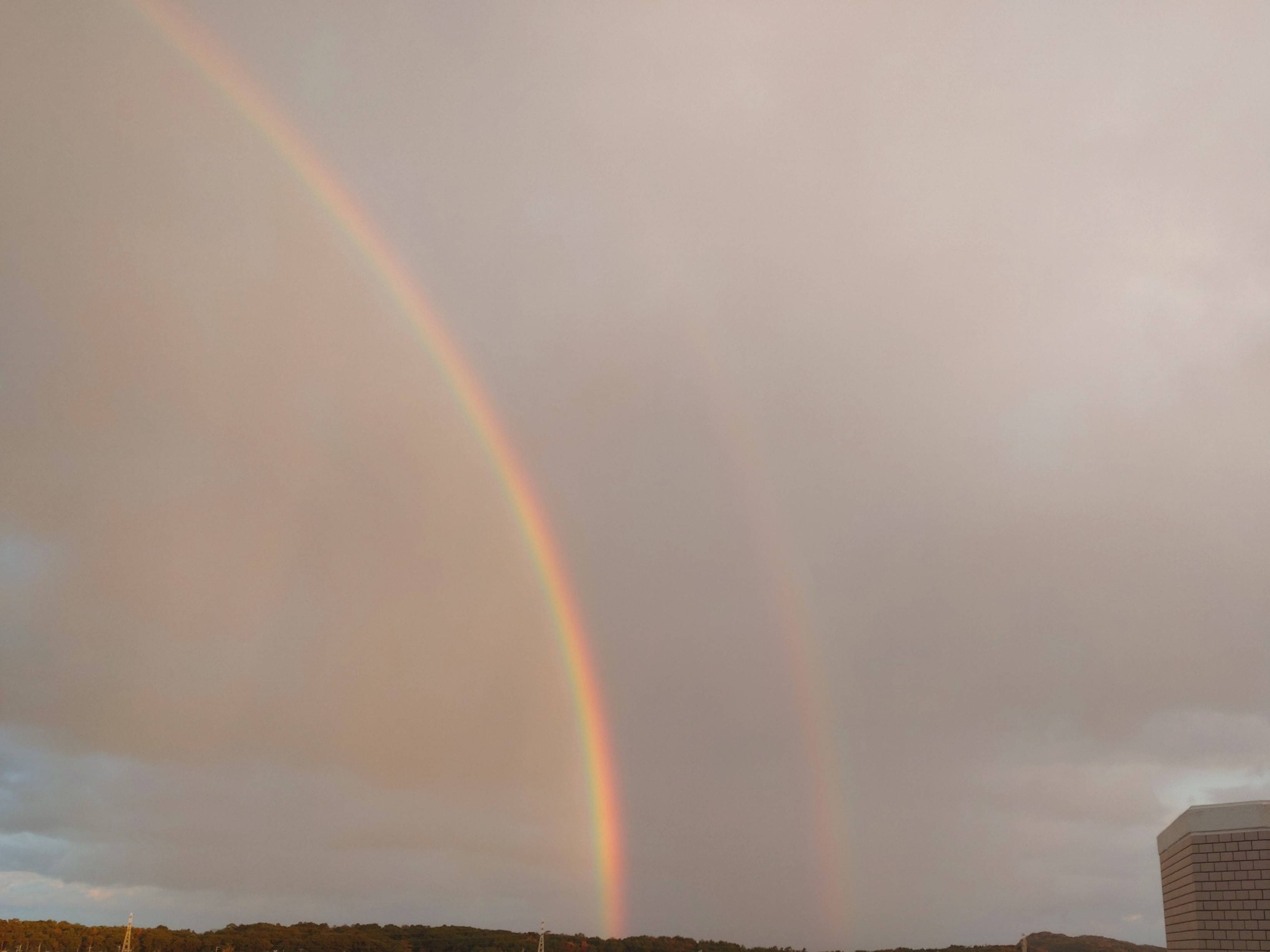 幸運の象徴！！