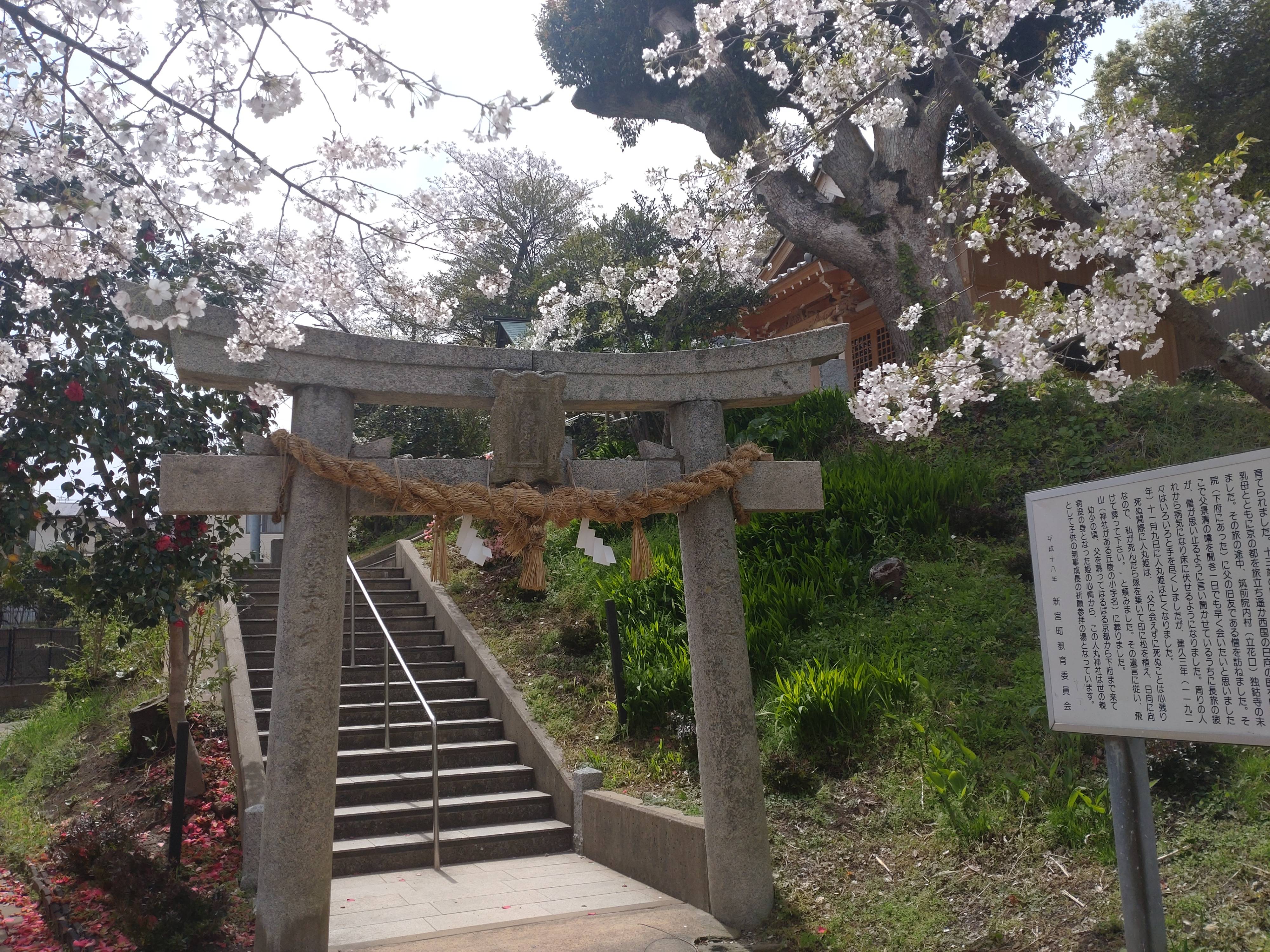おそらく今年最後の花火です！！